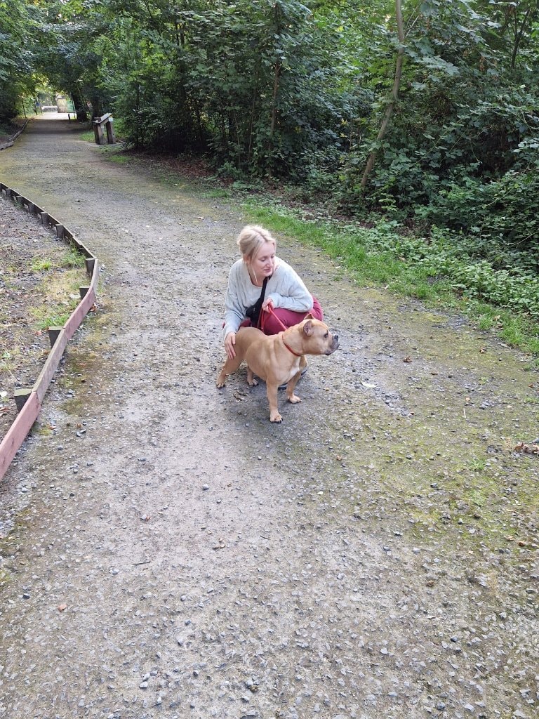 image-29