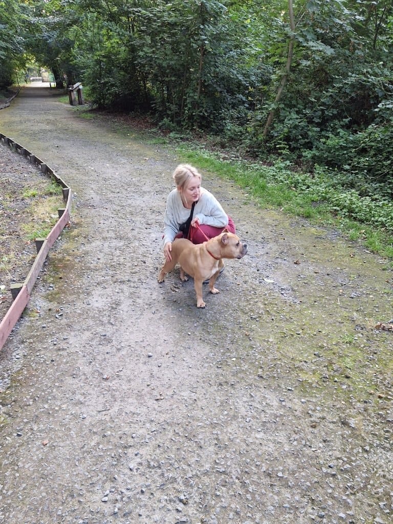 image-29