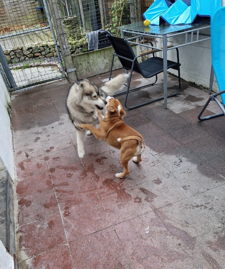 image-18