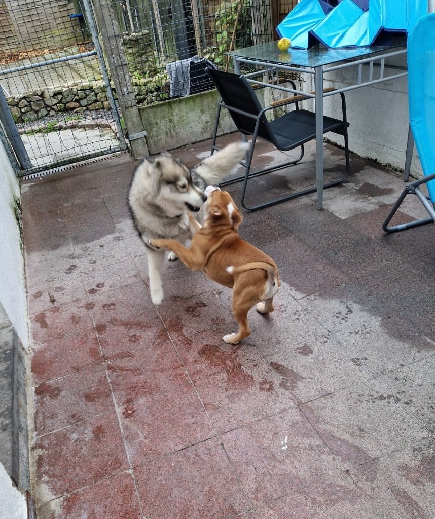 image-18