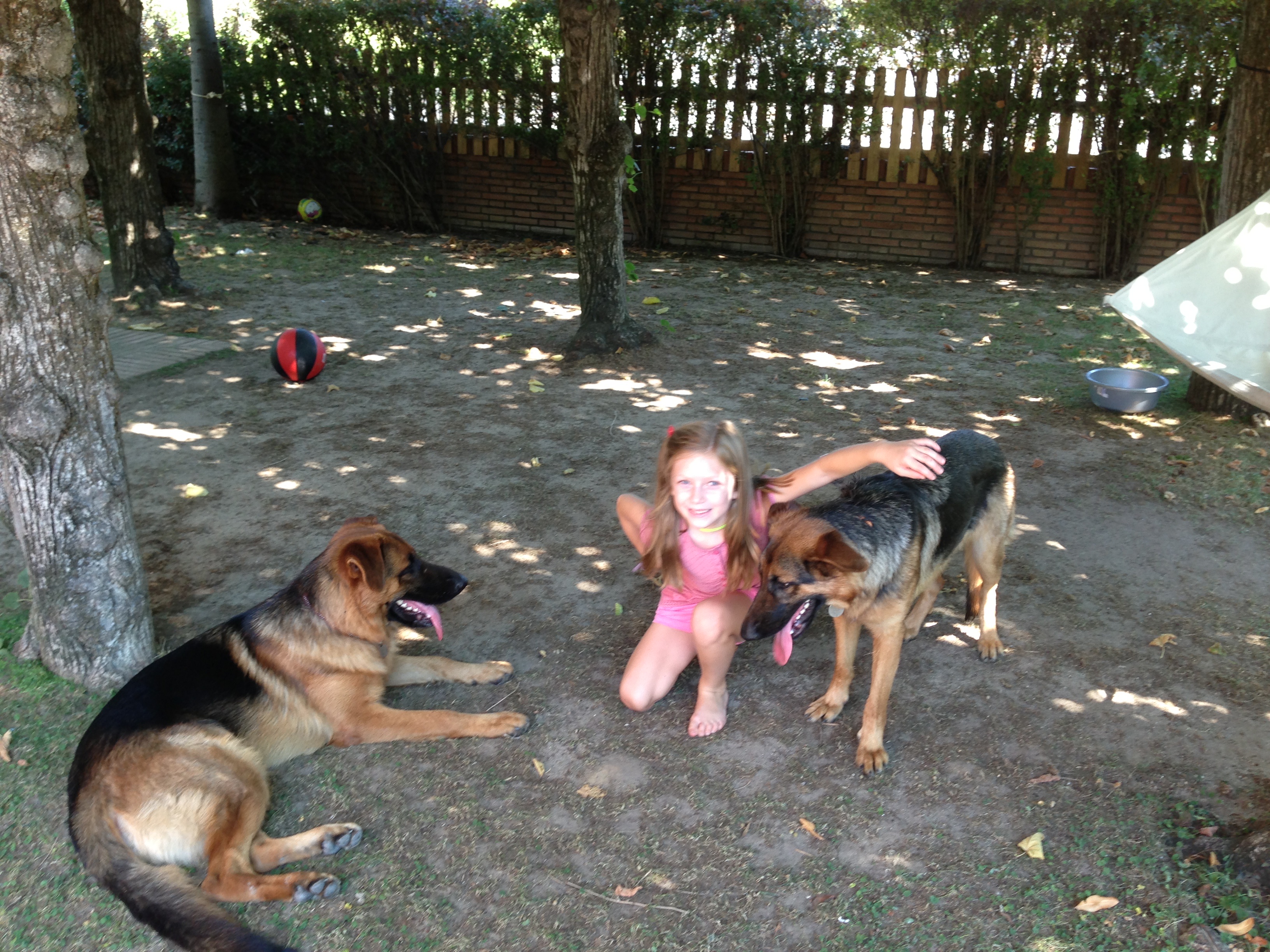 image-3