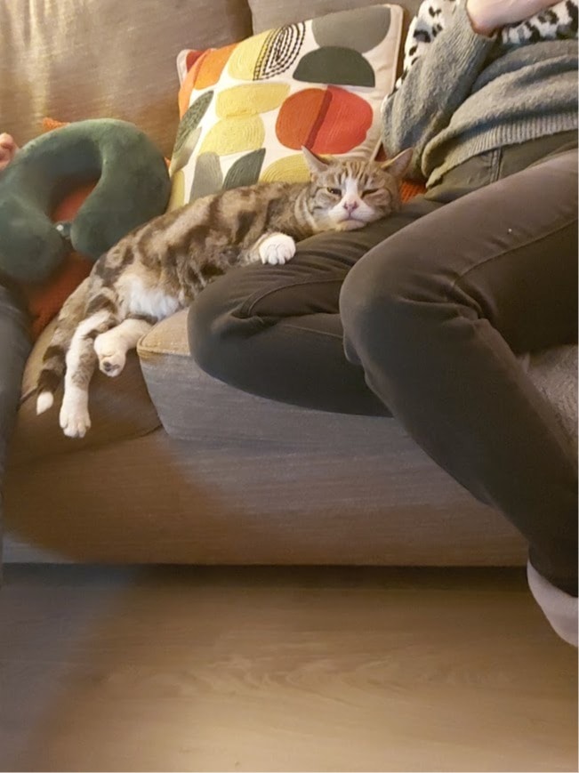 image-7