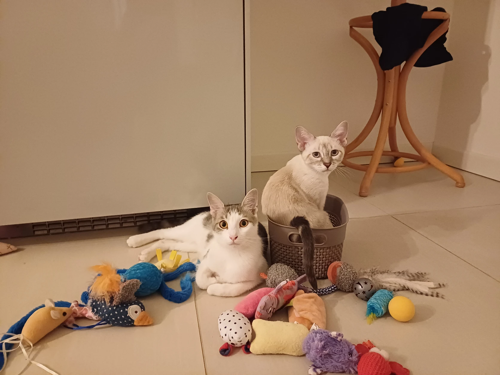 image-16