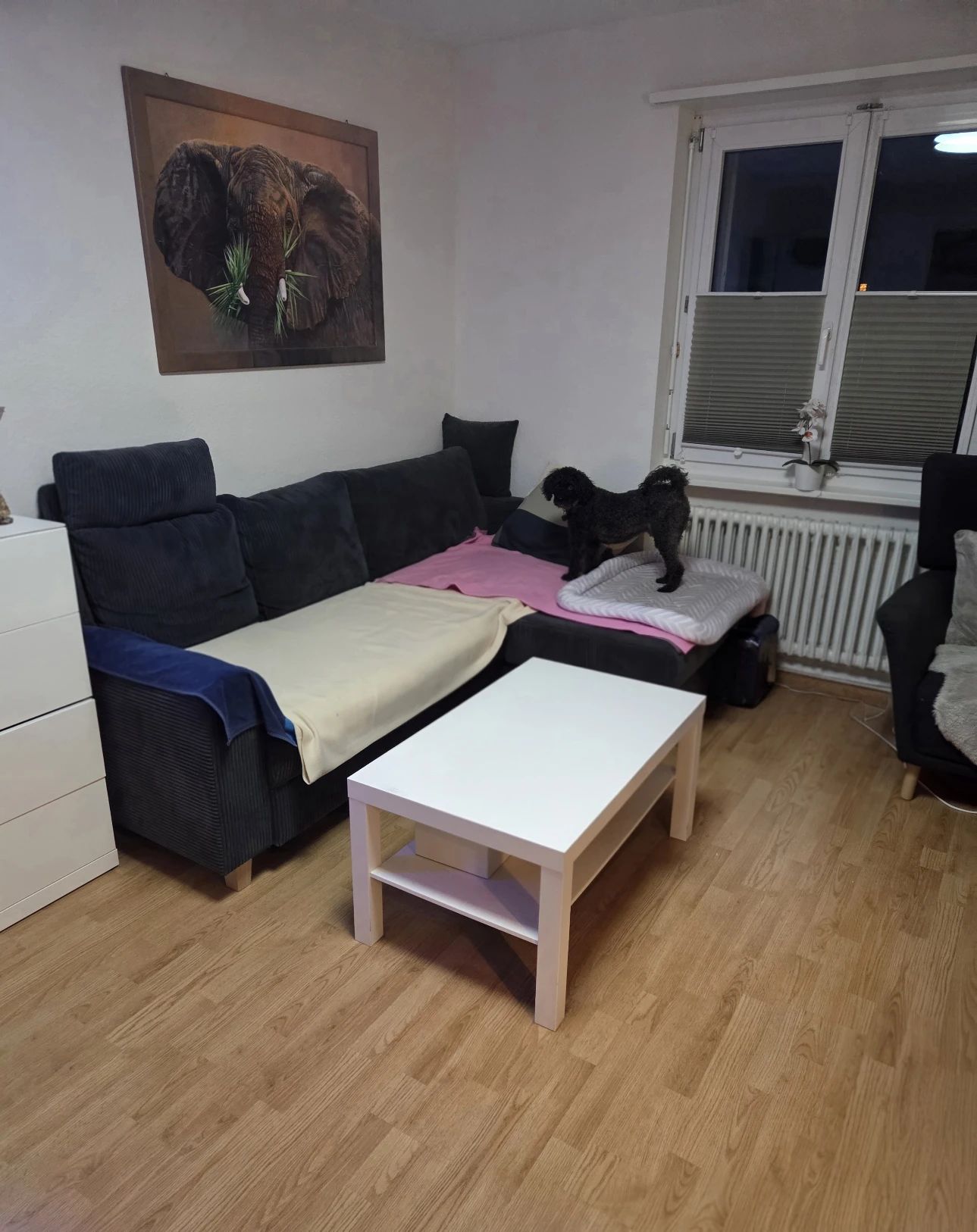 image-18