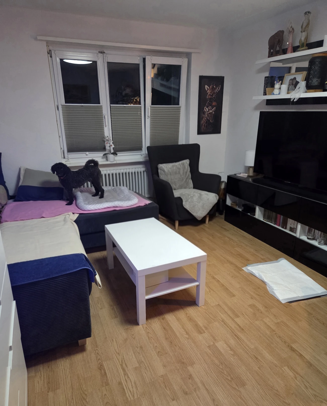 image-15