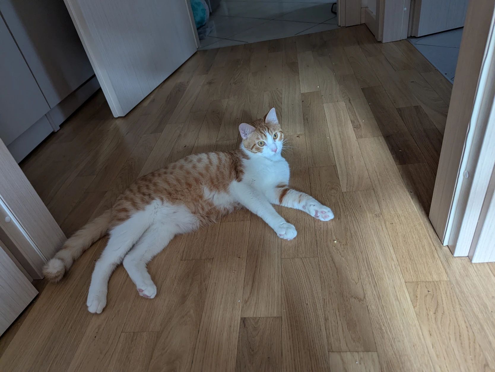 image-8