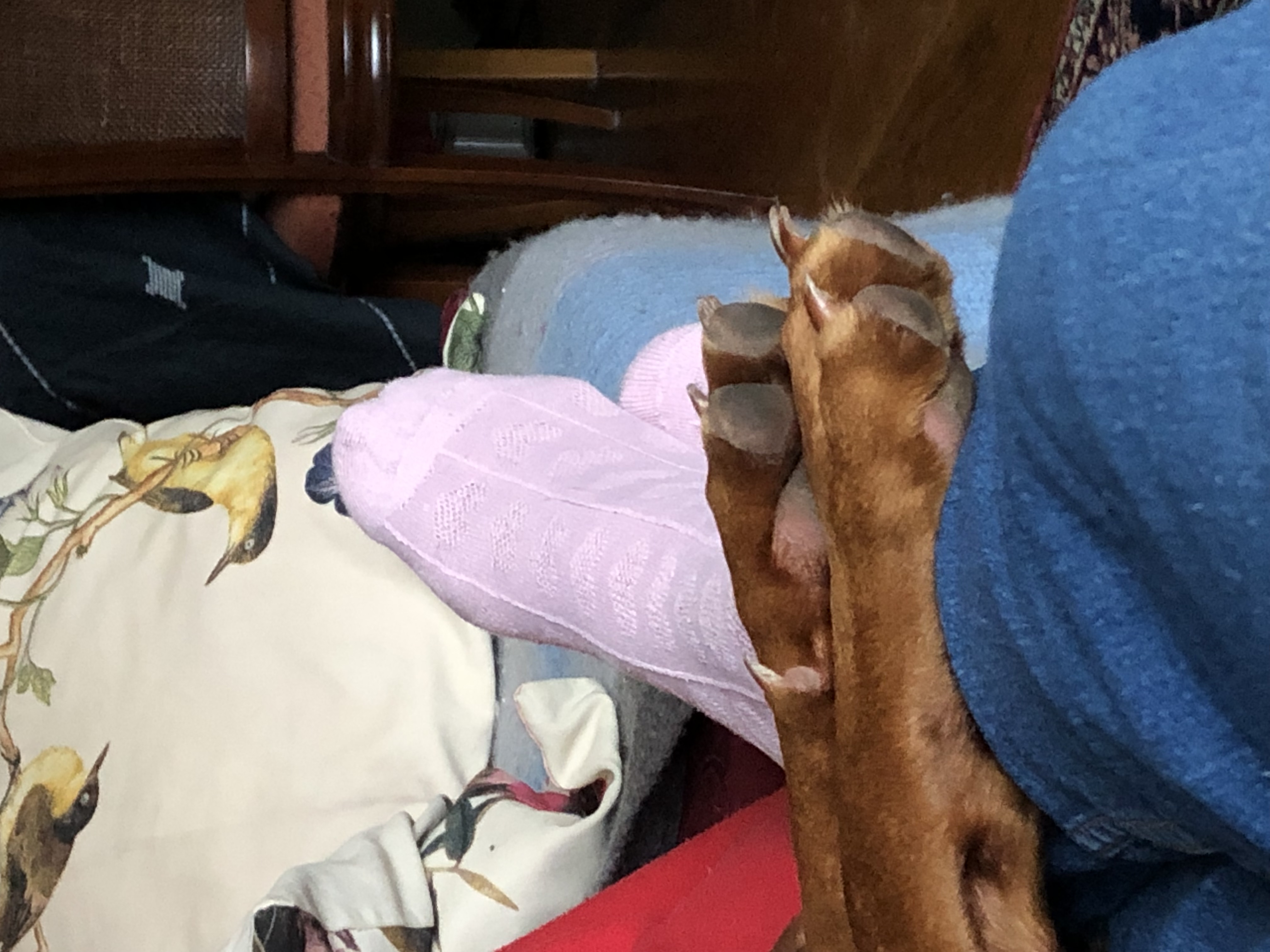 image-6