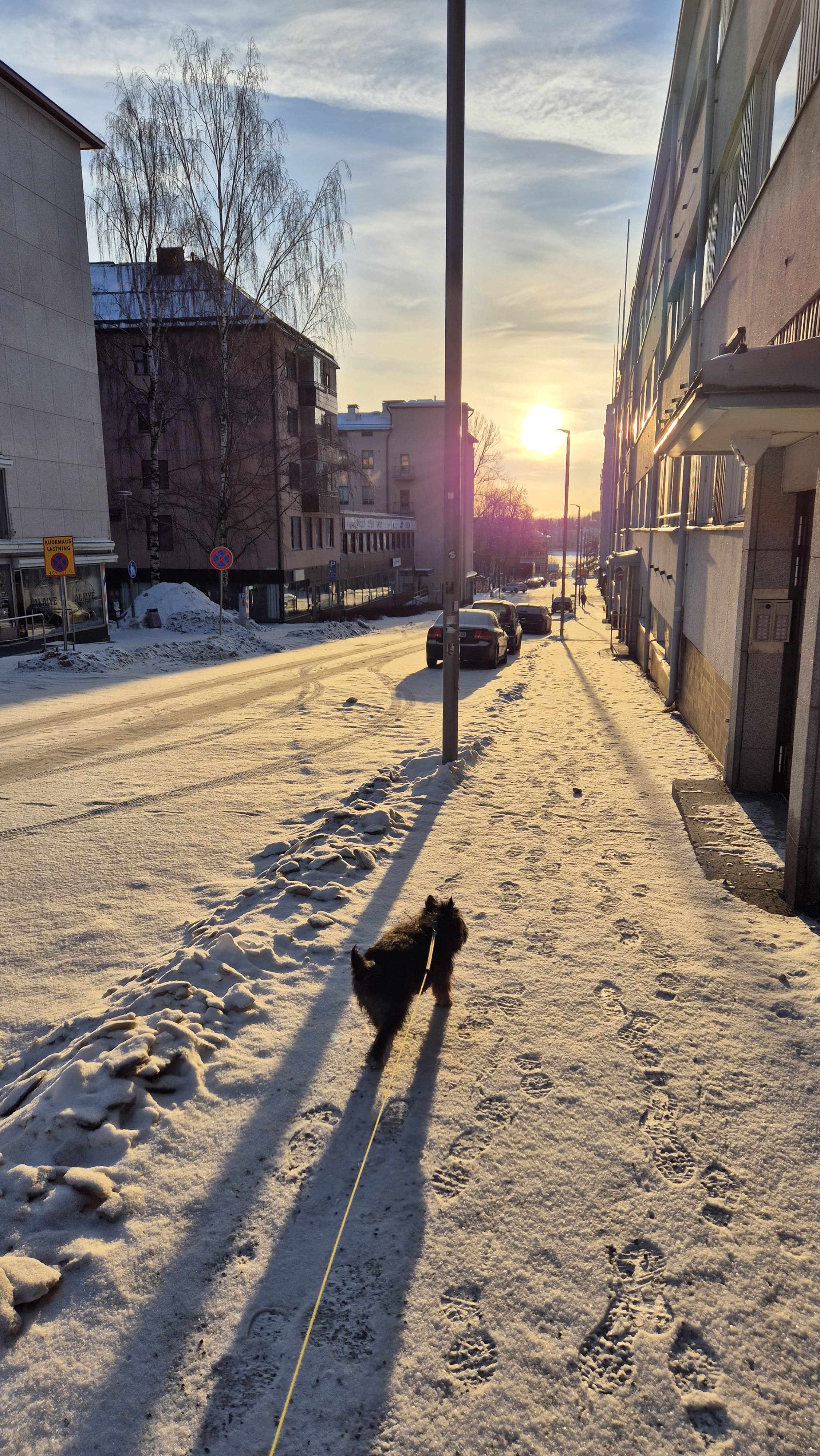 image-8