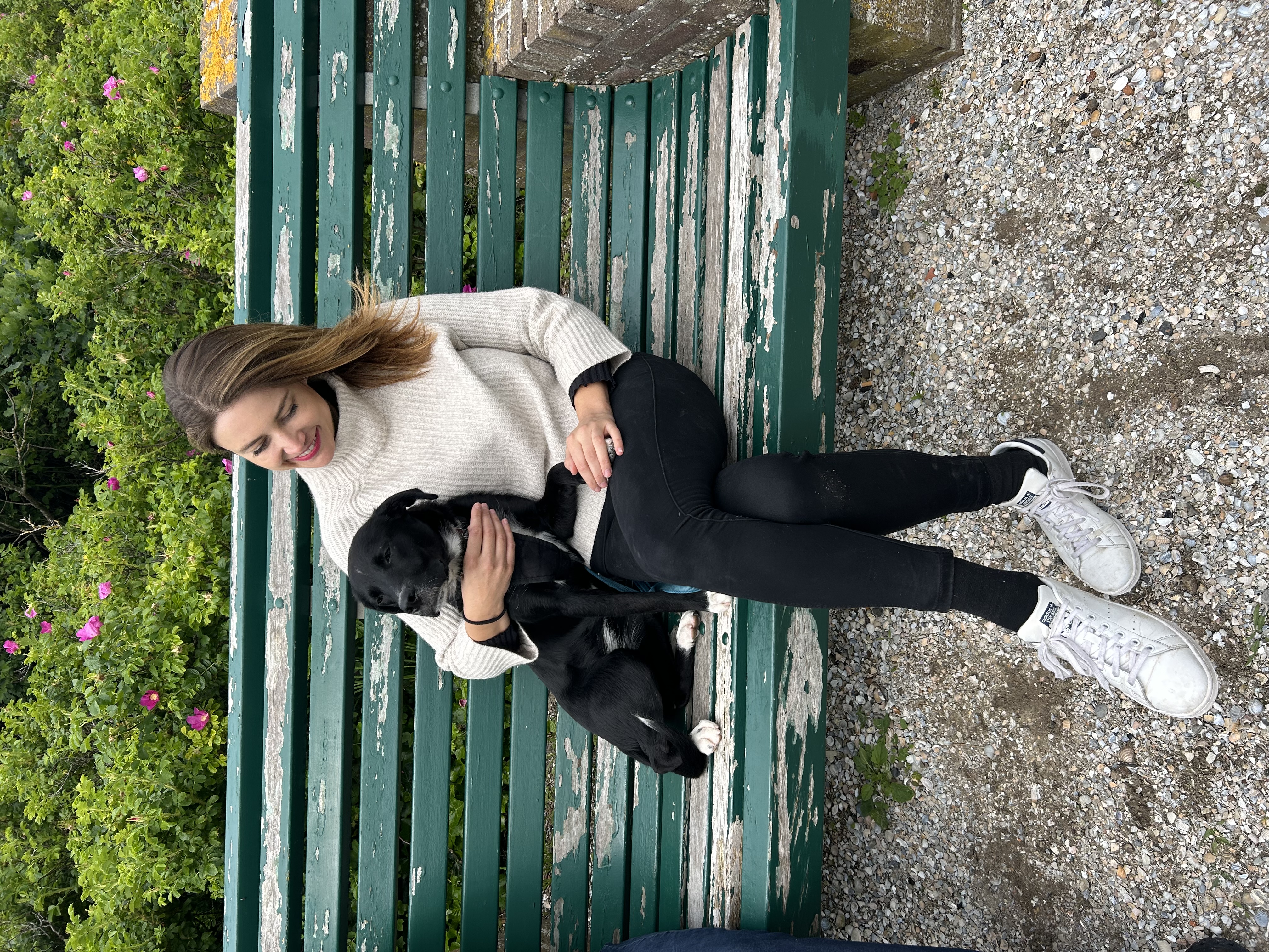image-6