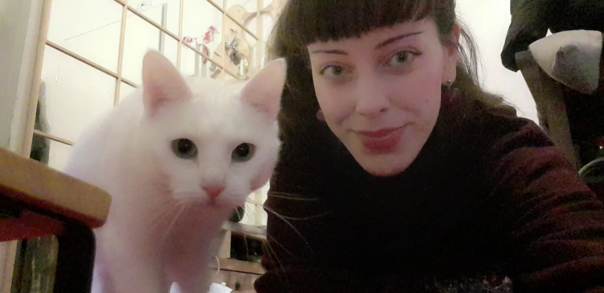 image-8