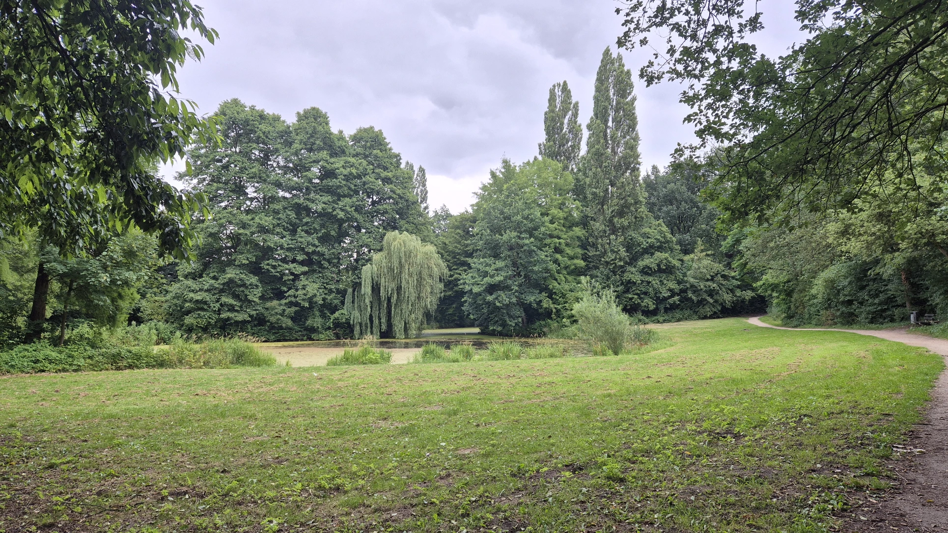 image-18