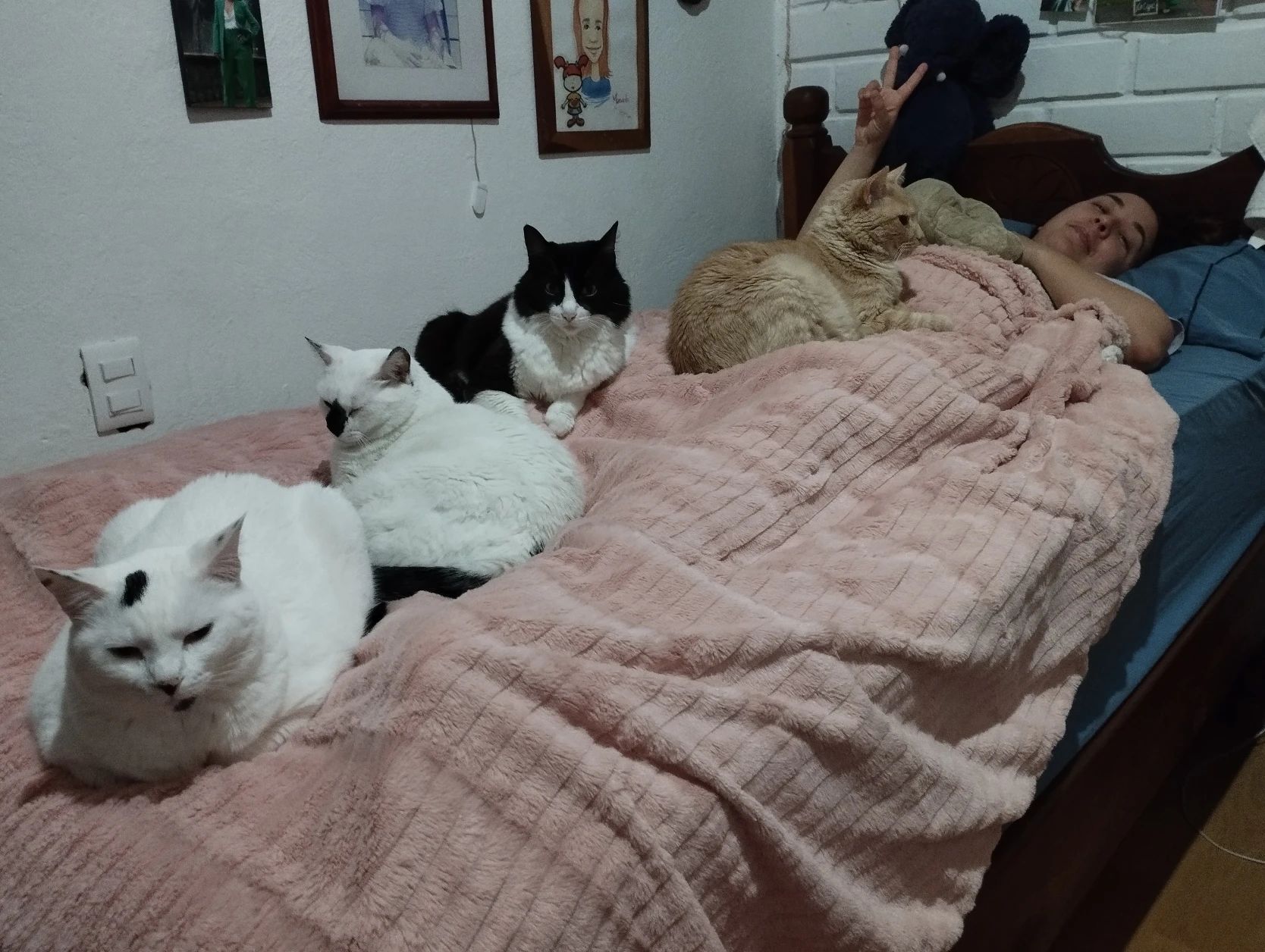 image-8