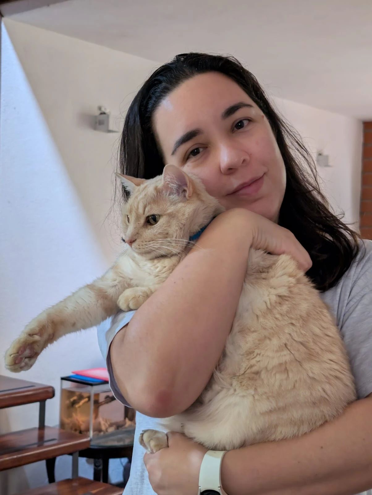 image-5