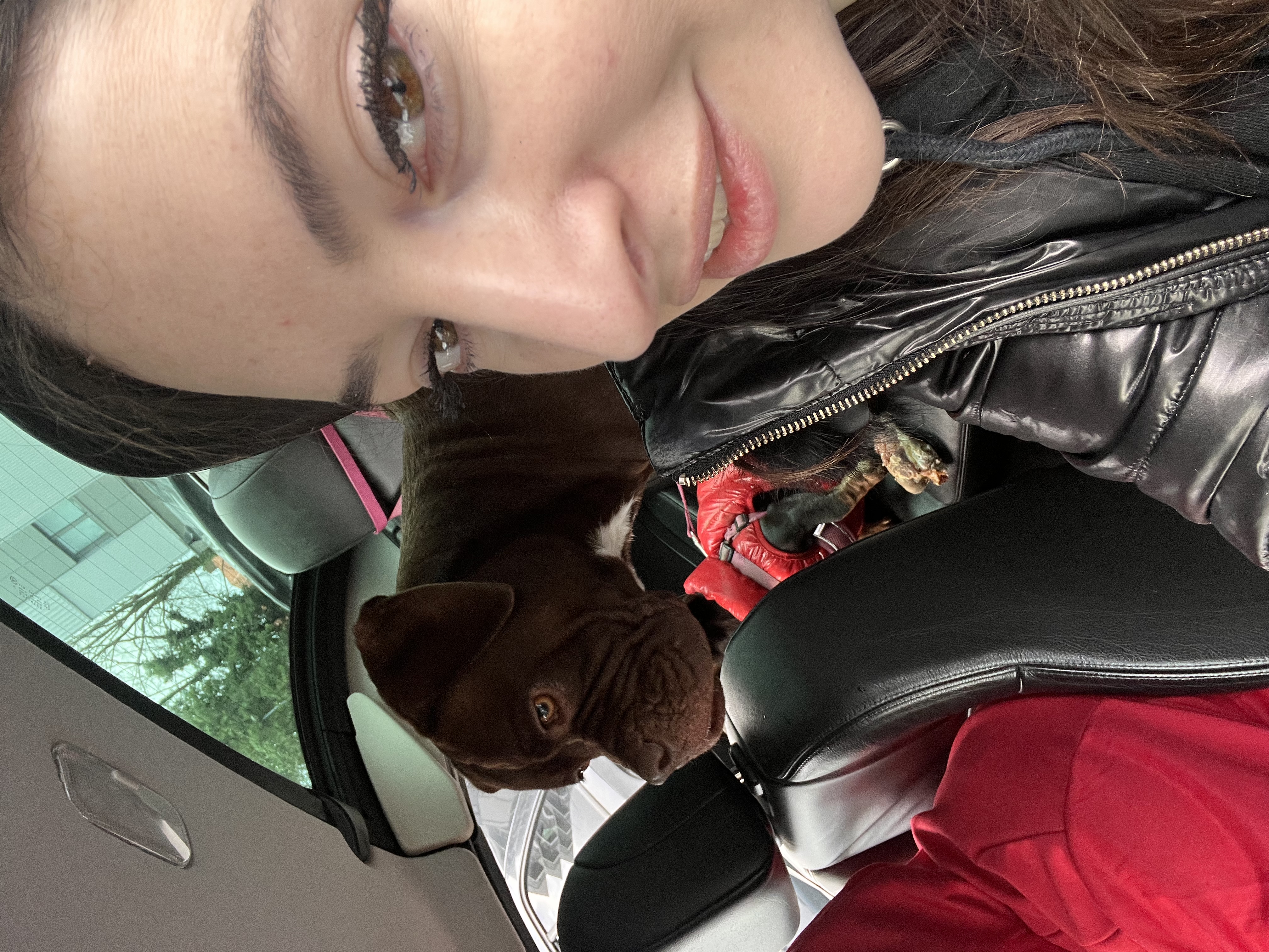 image-6