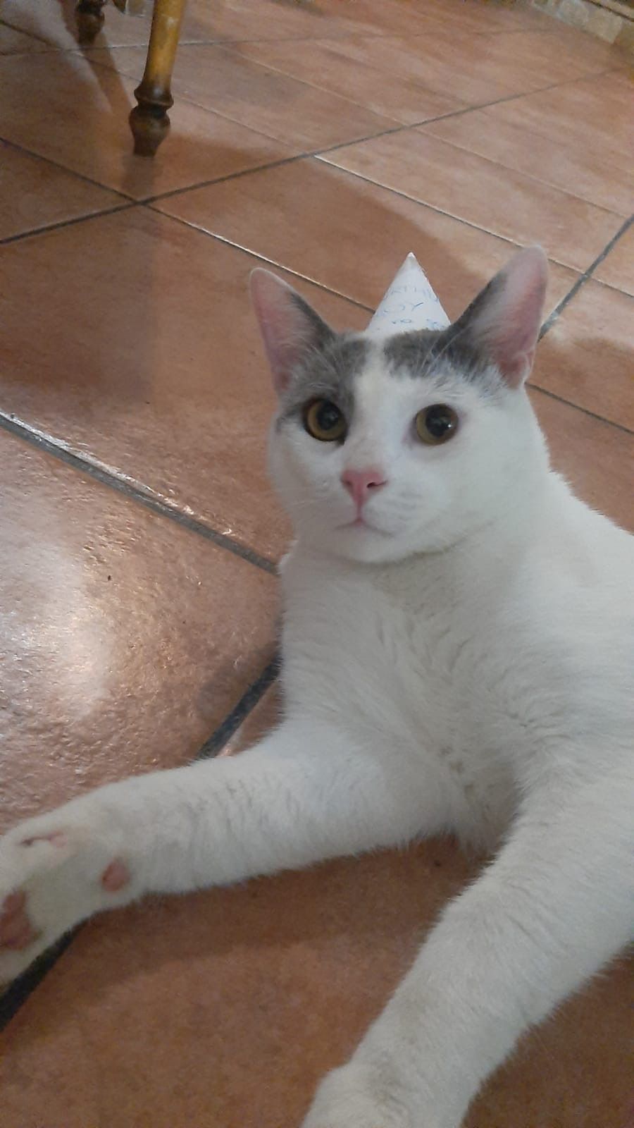 image-6