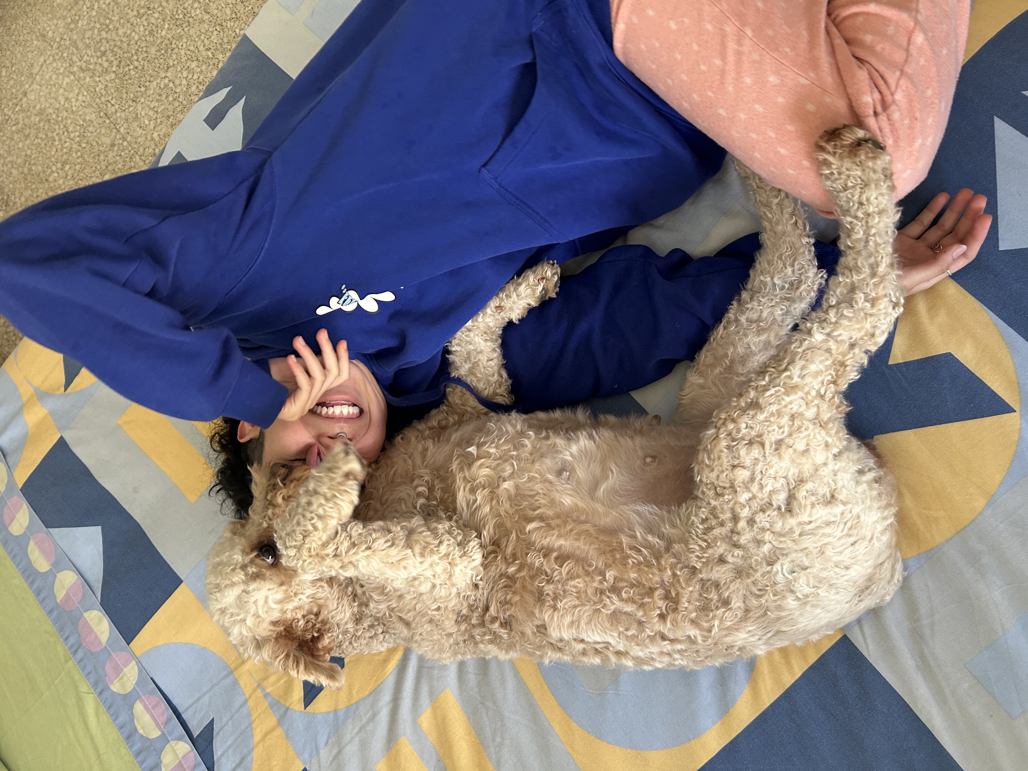 image-5