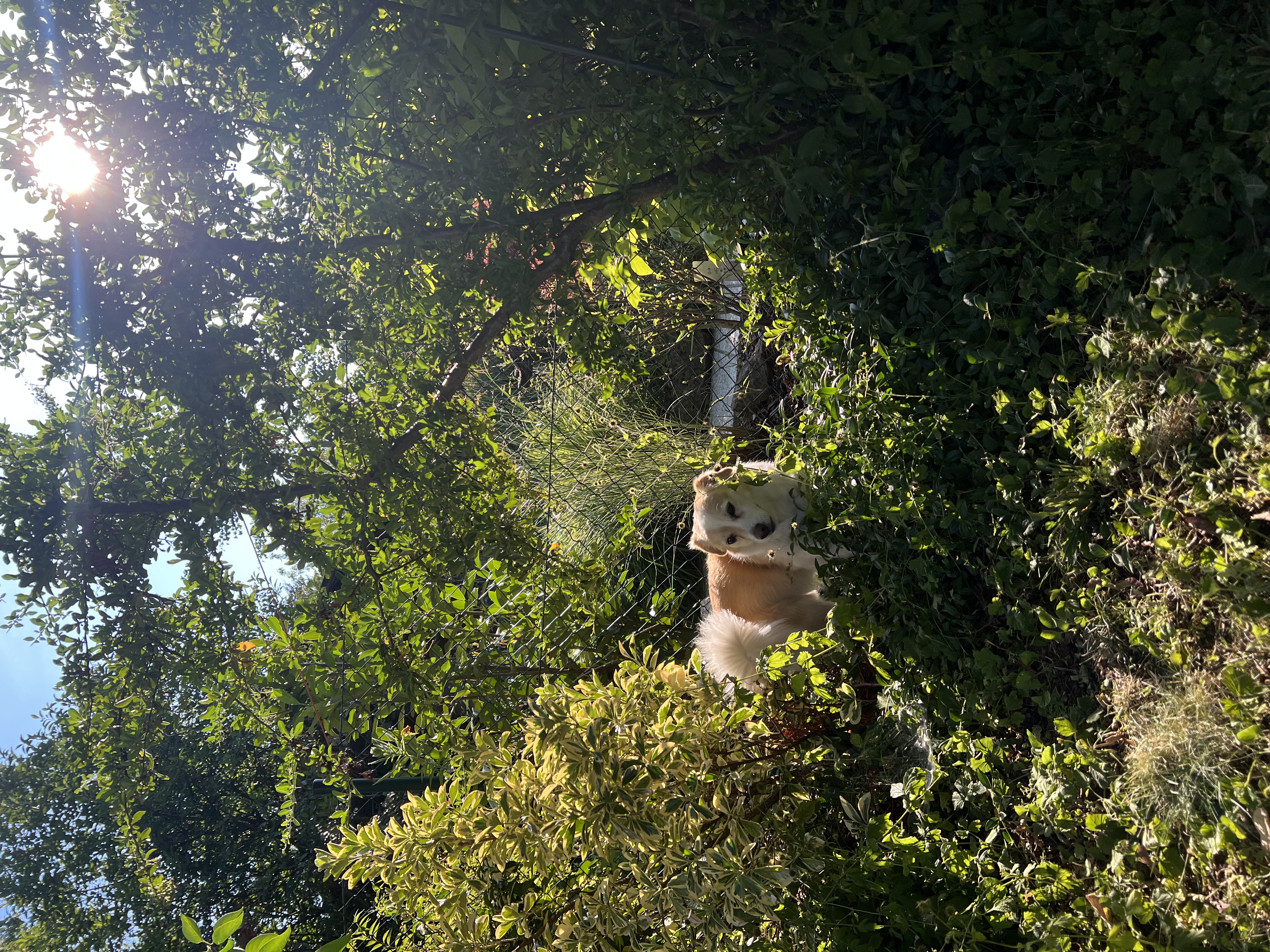 image-5
