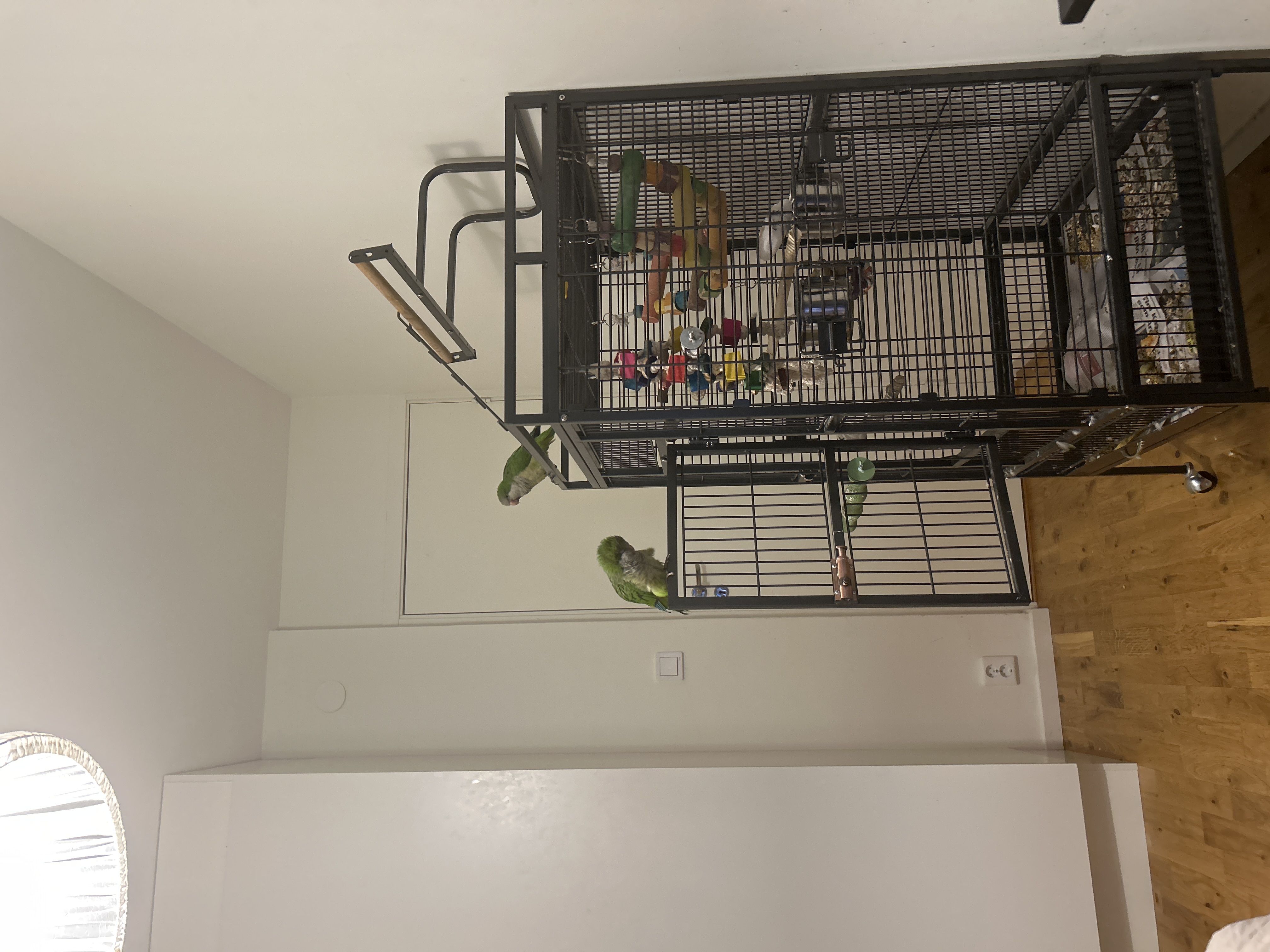 image-9