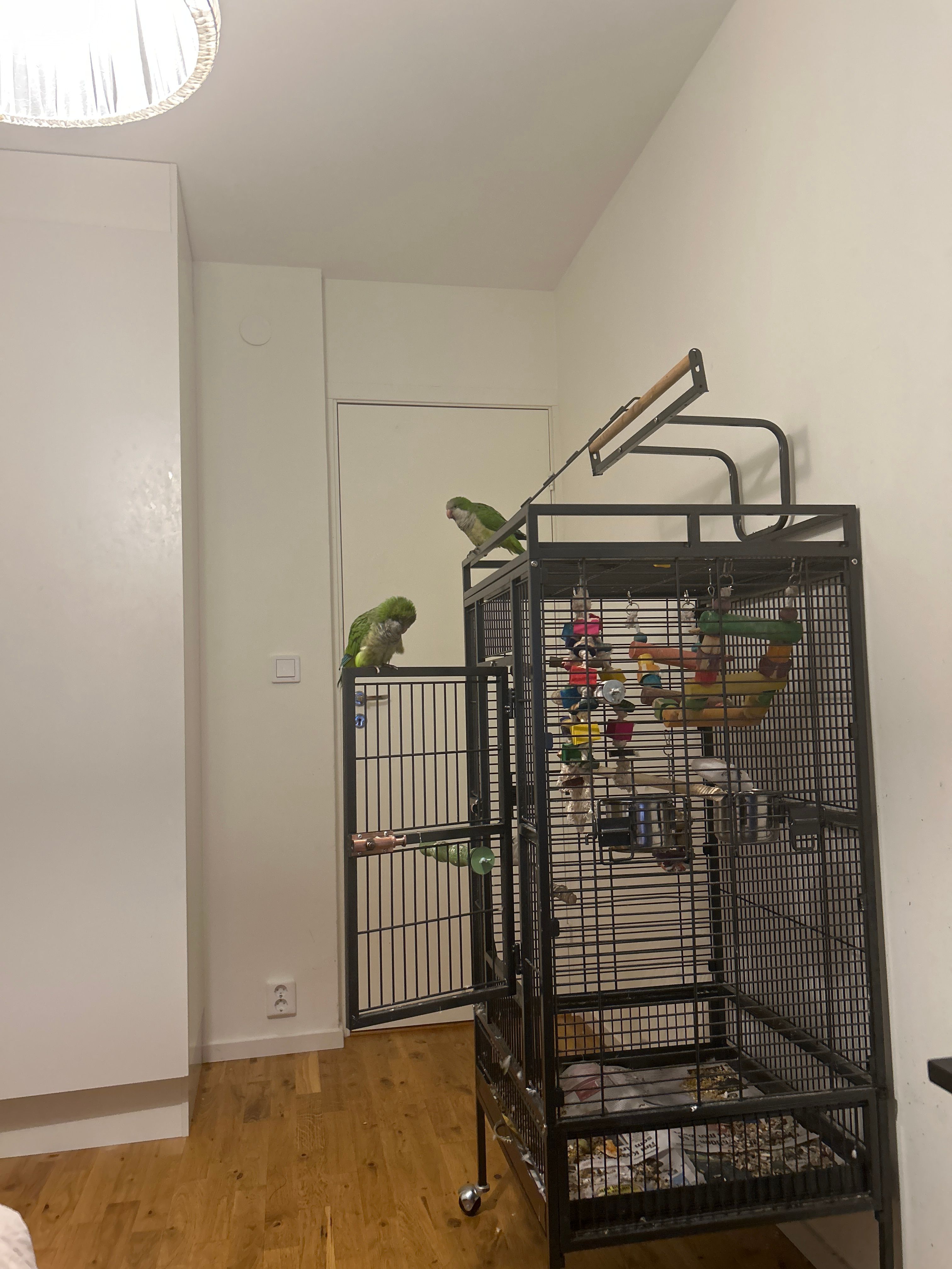 image-9