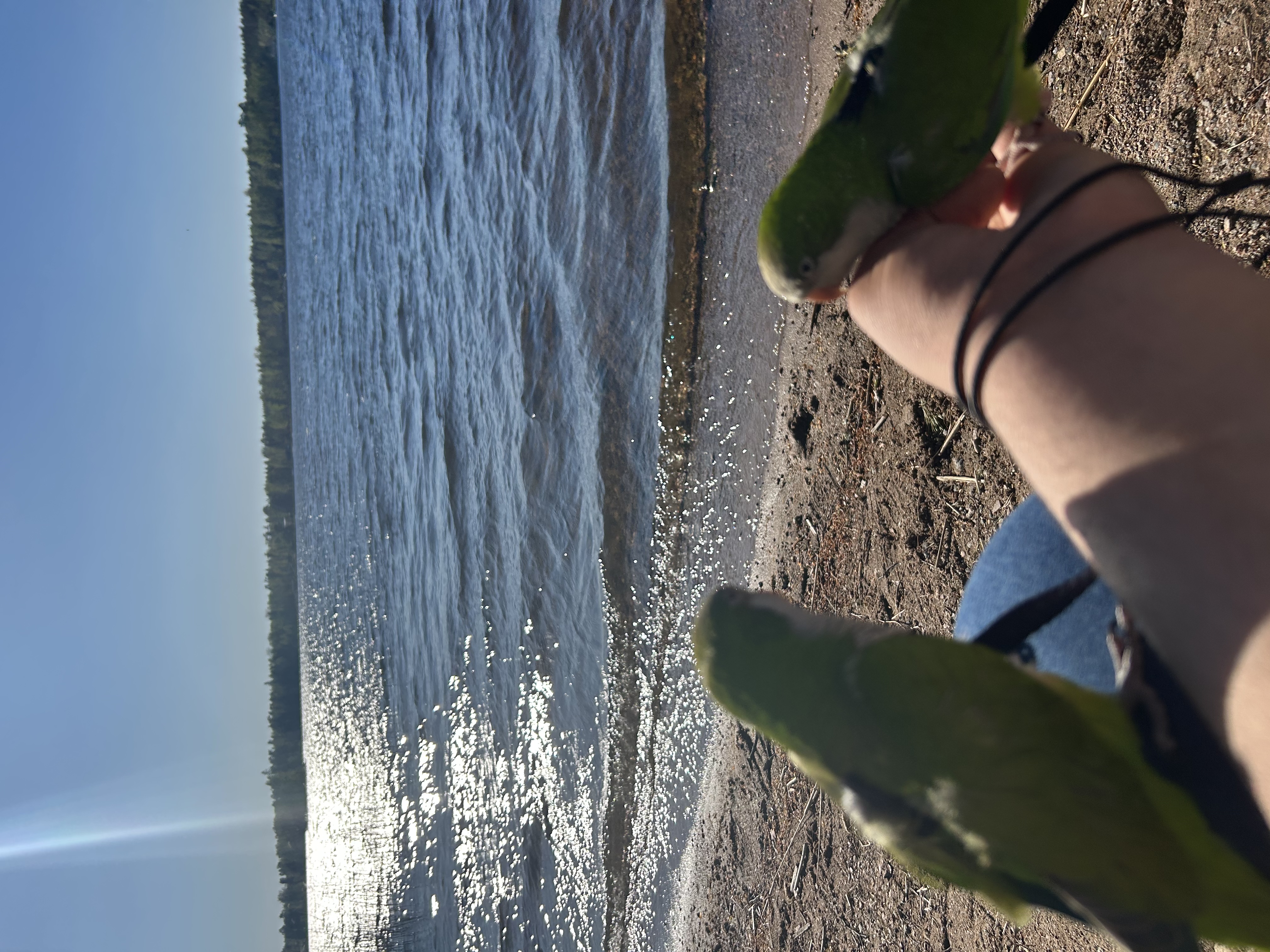 image-0