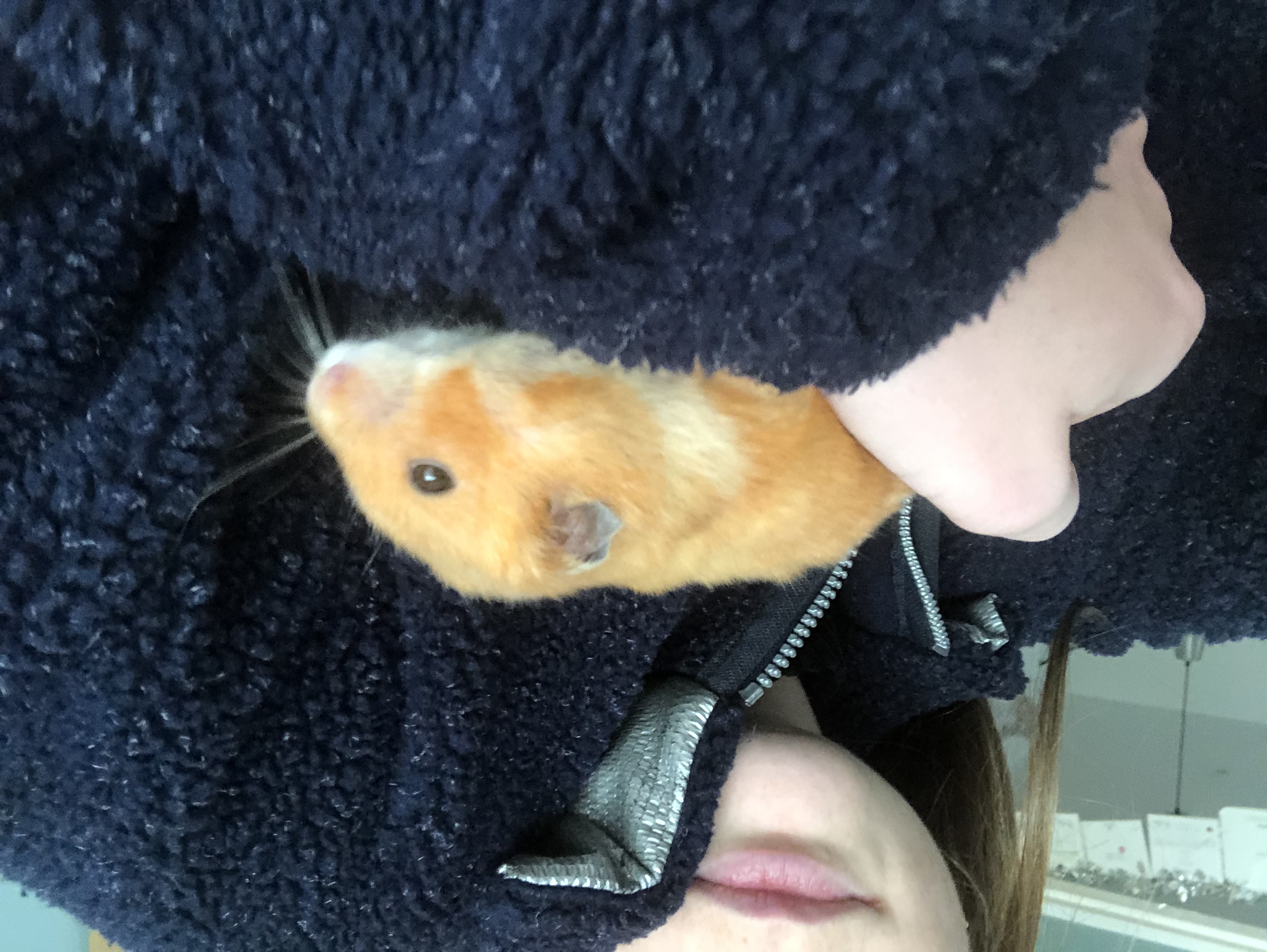 image-9