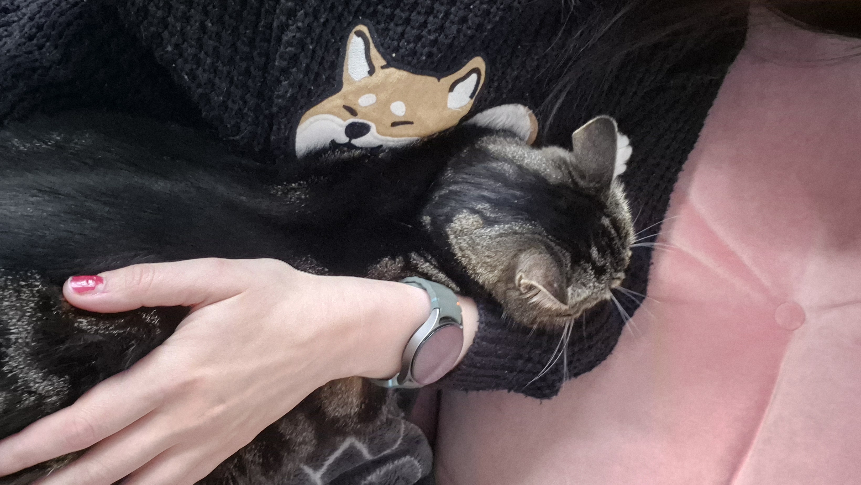 image-7