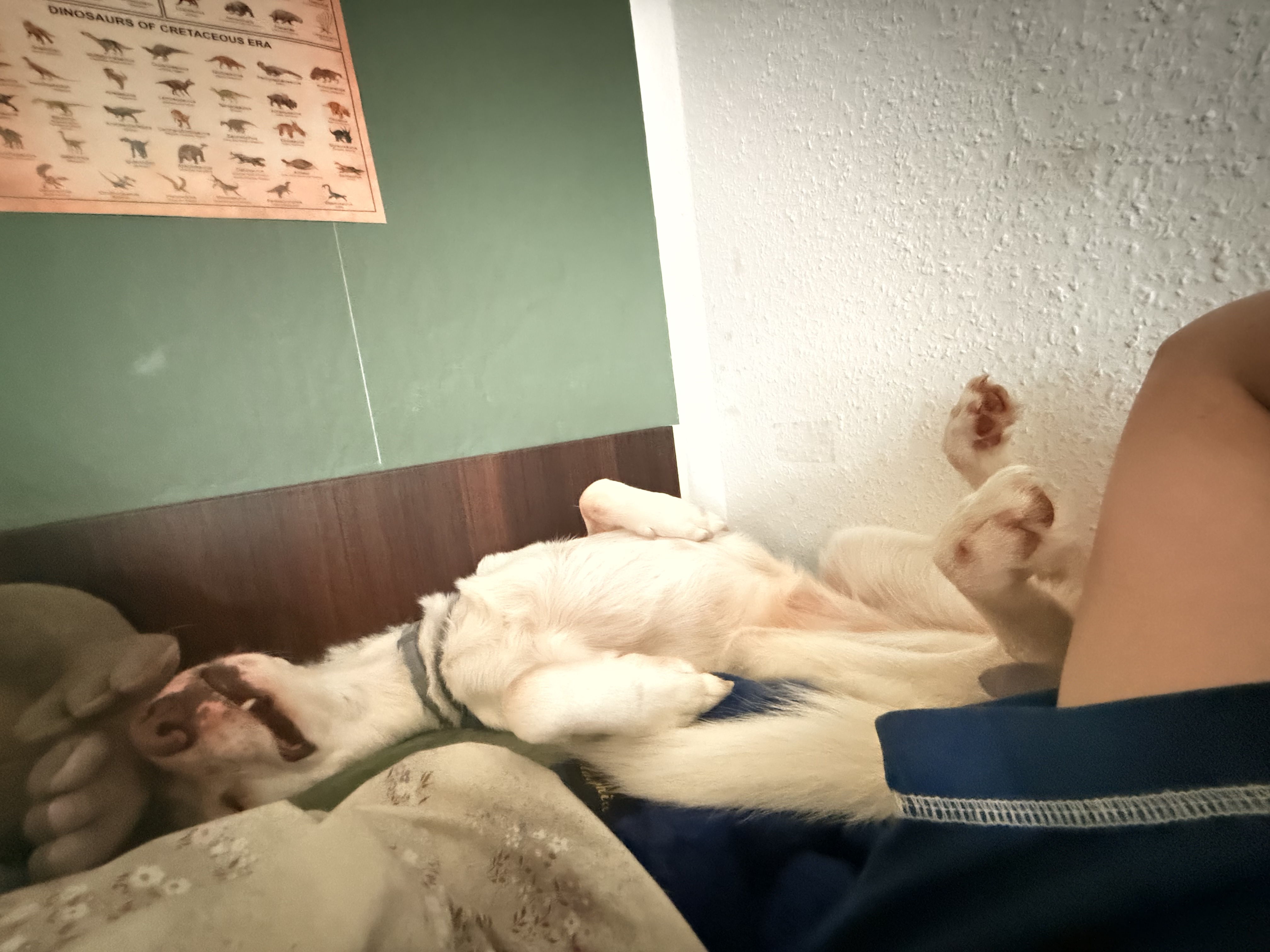 image-8