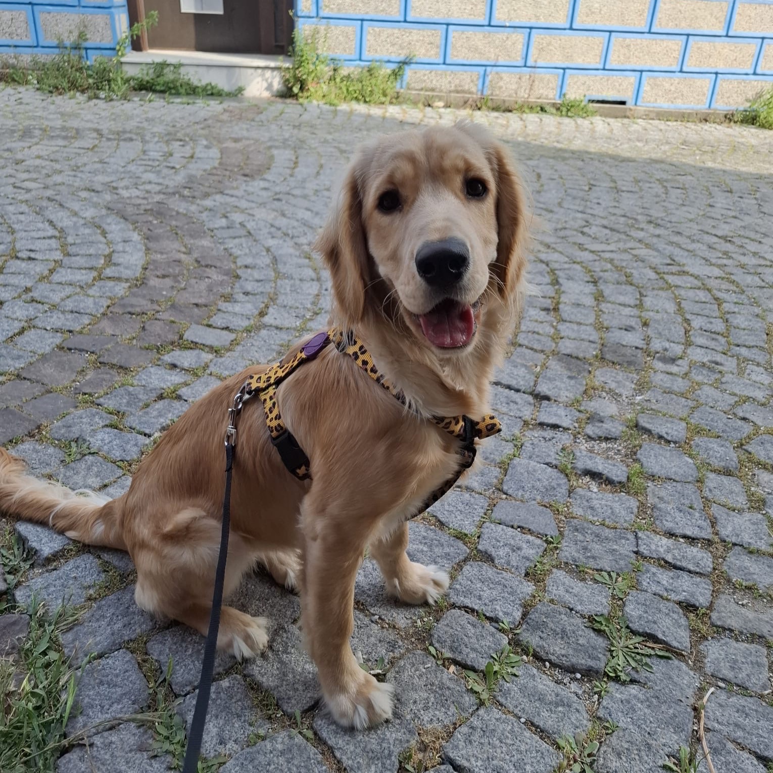 Rio