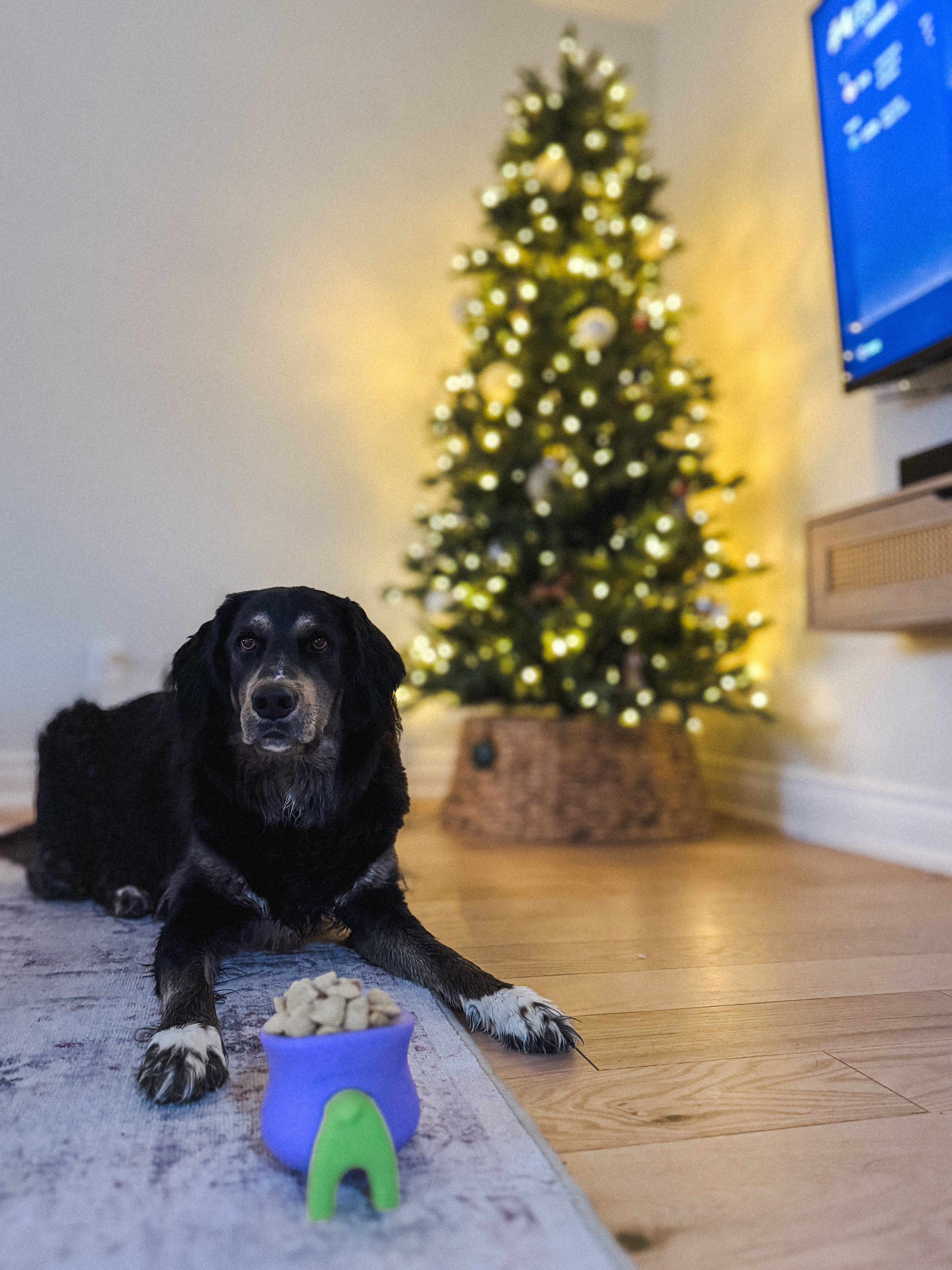 image-2