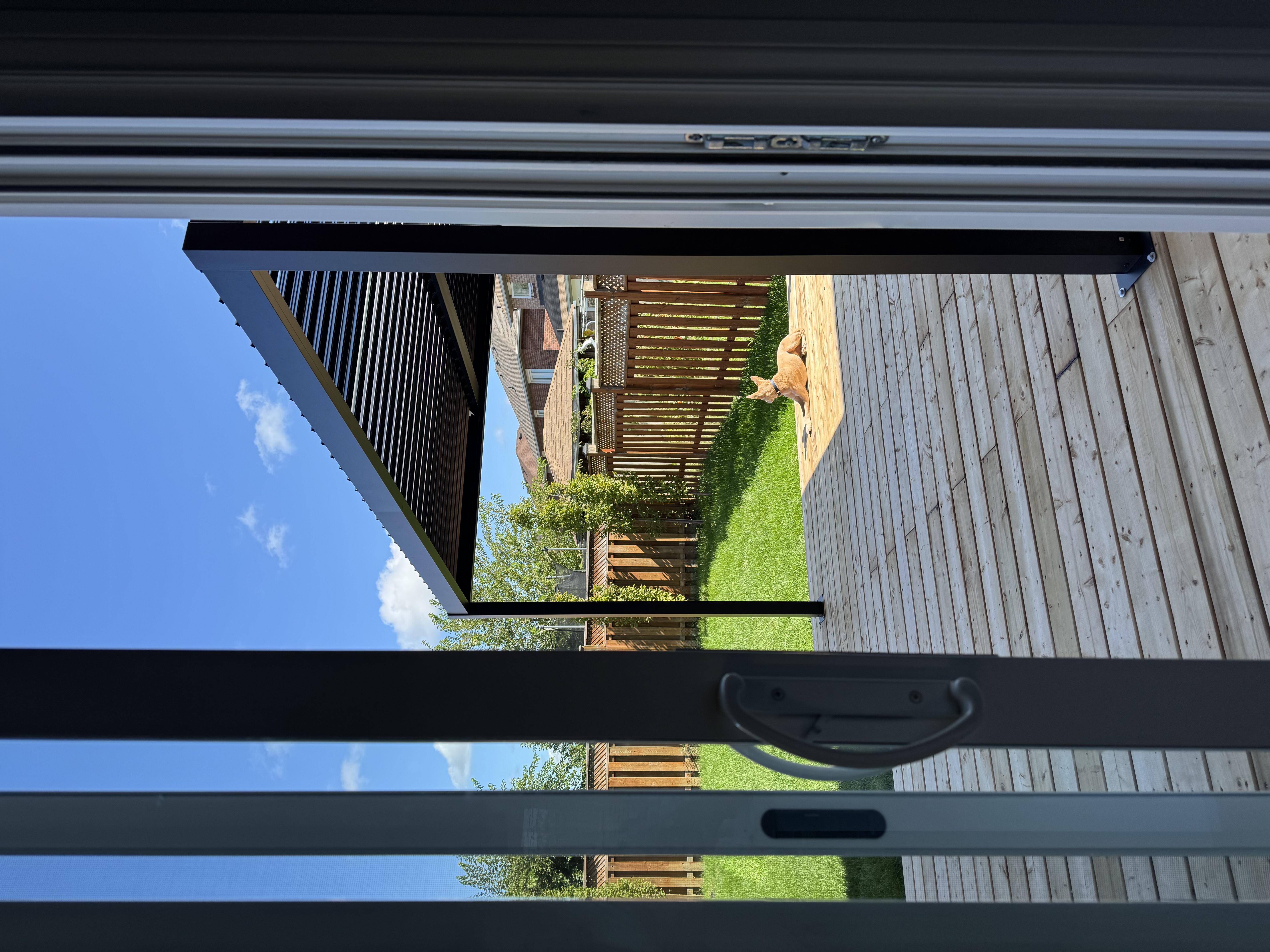 image-18