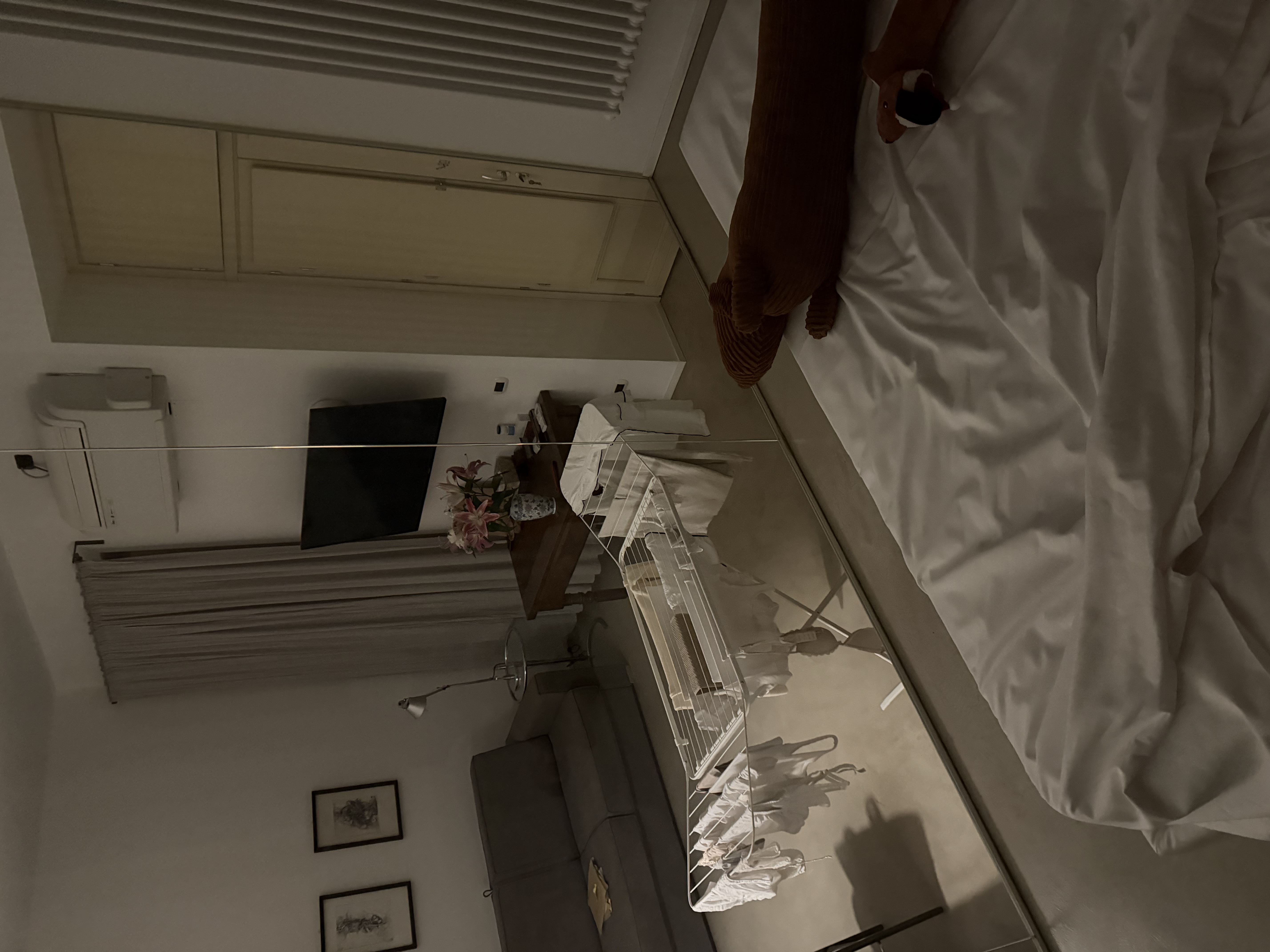 image-14