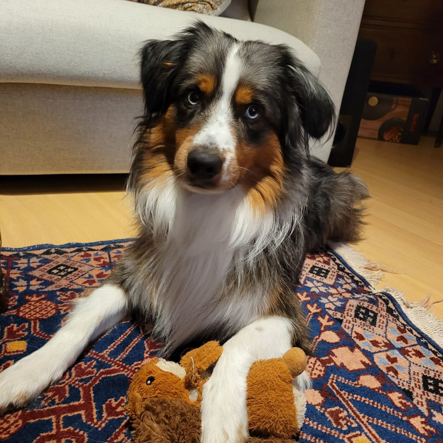 Merlin