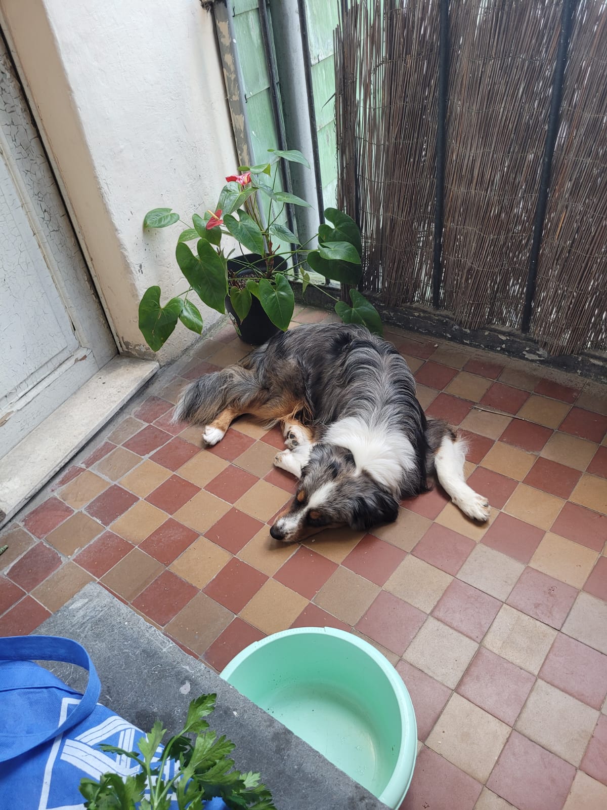 image-20