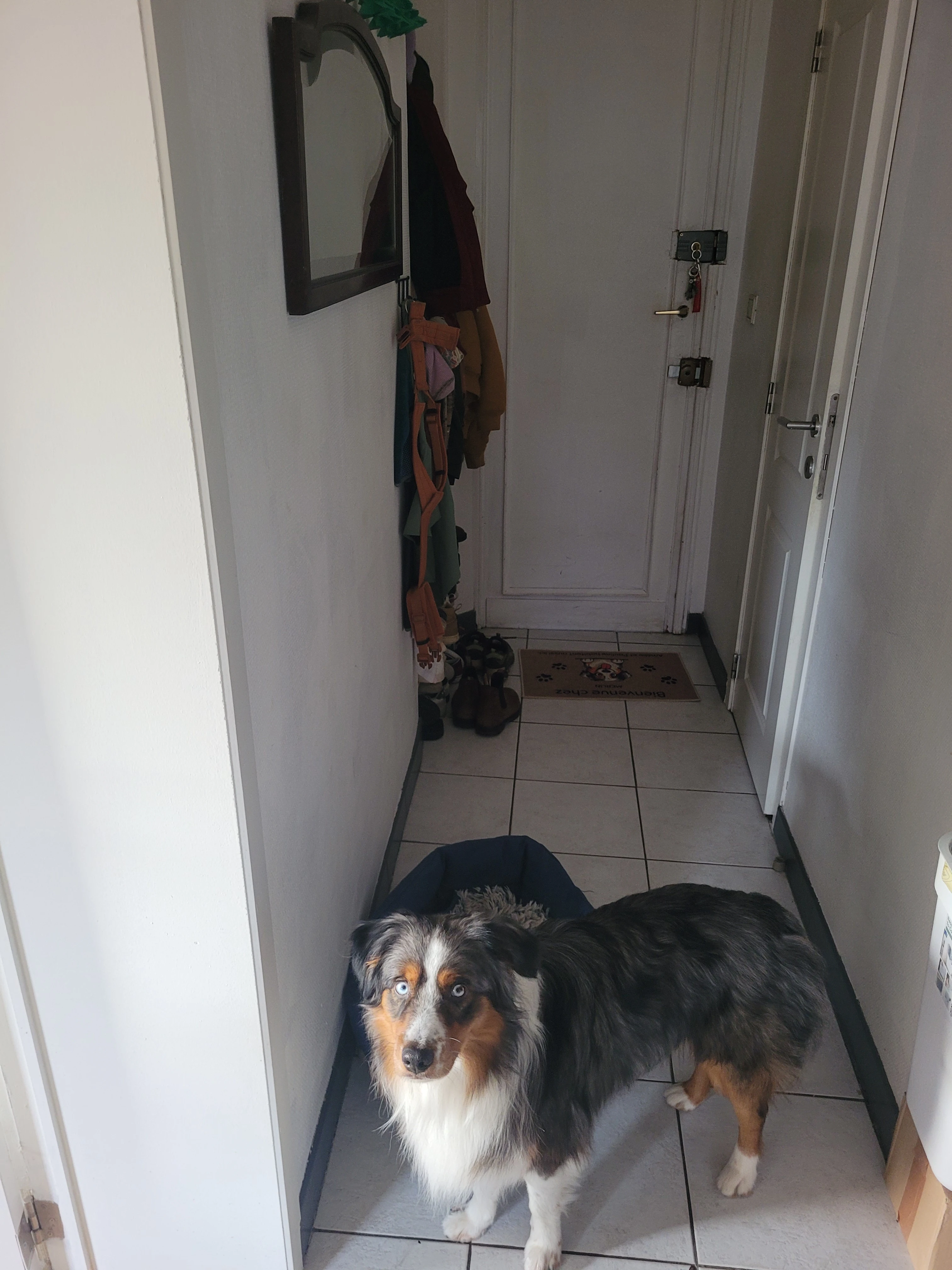 image-18