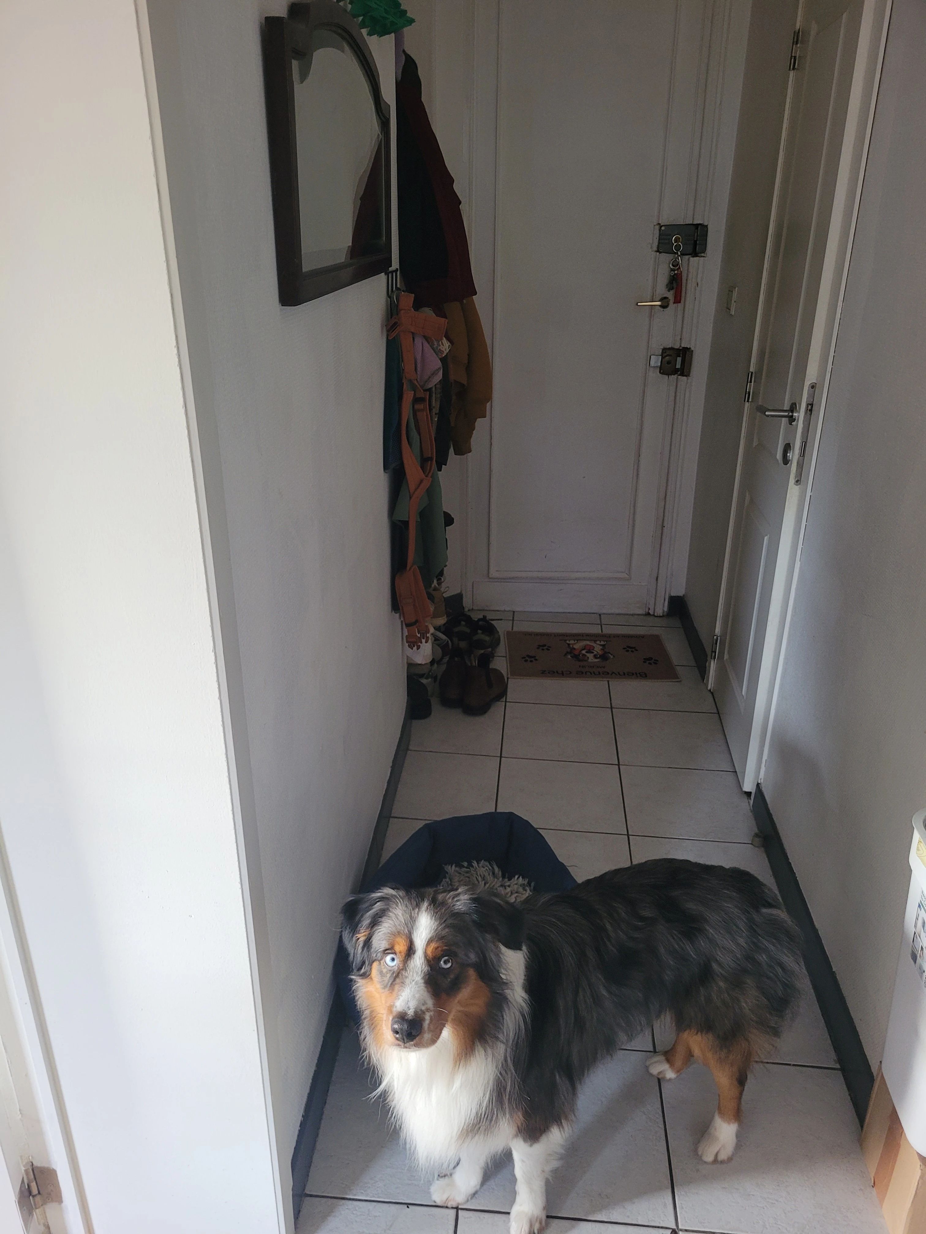 image-18