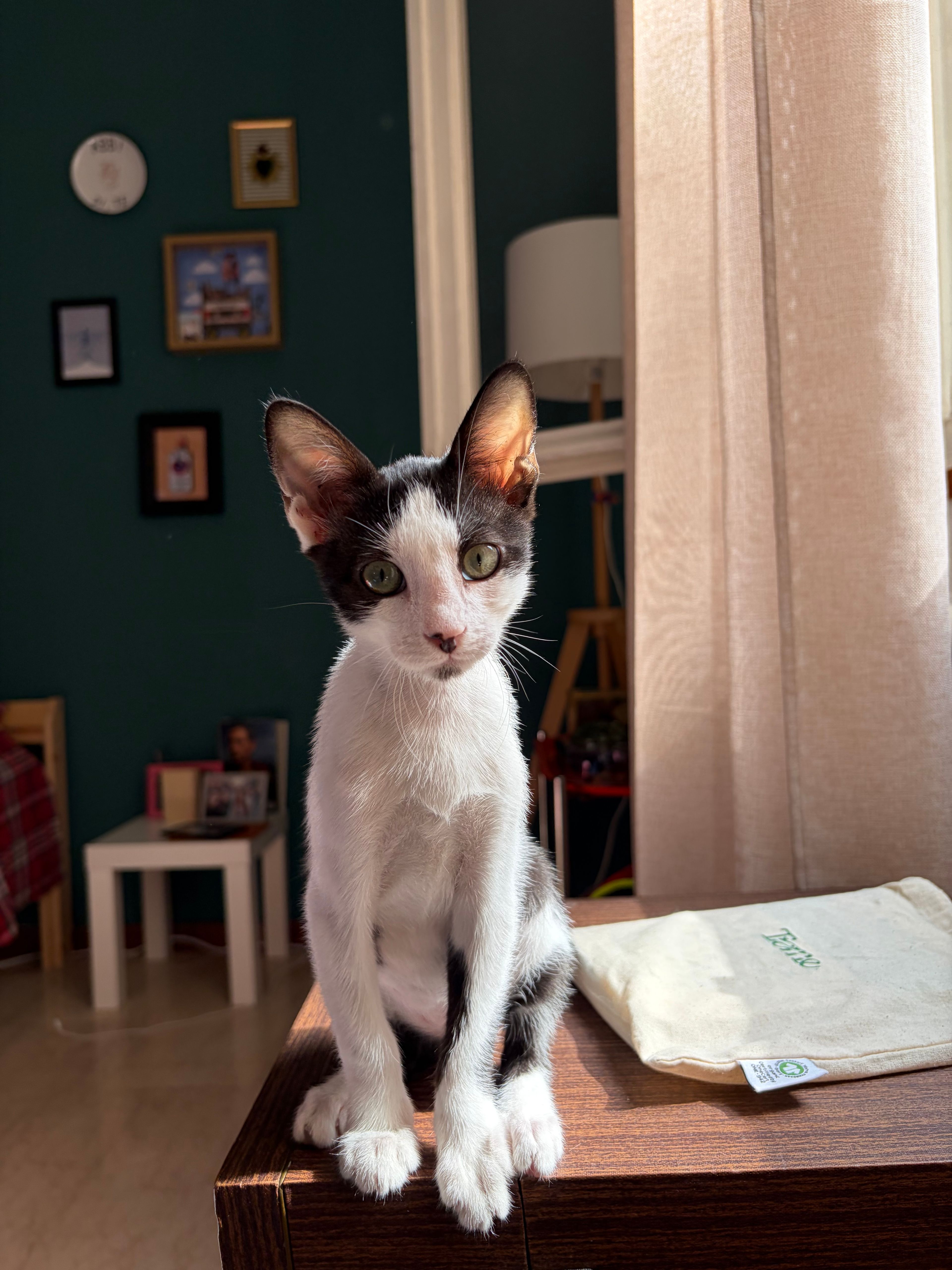 image-12