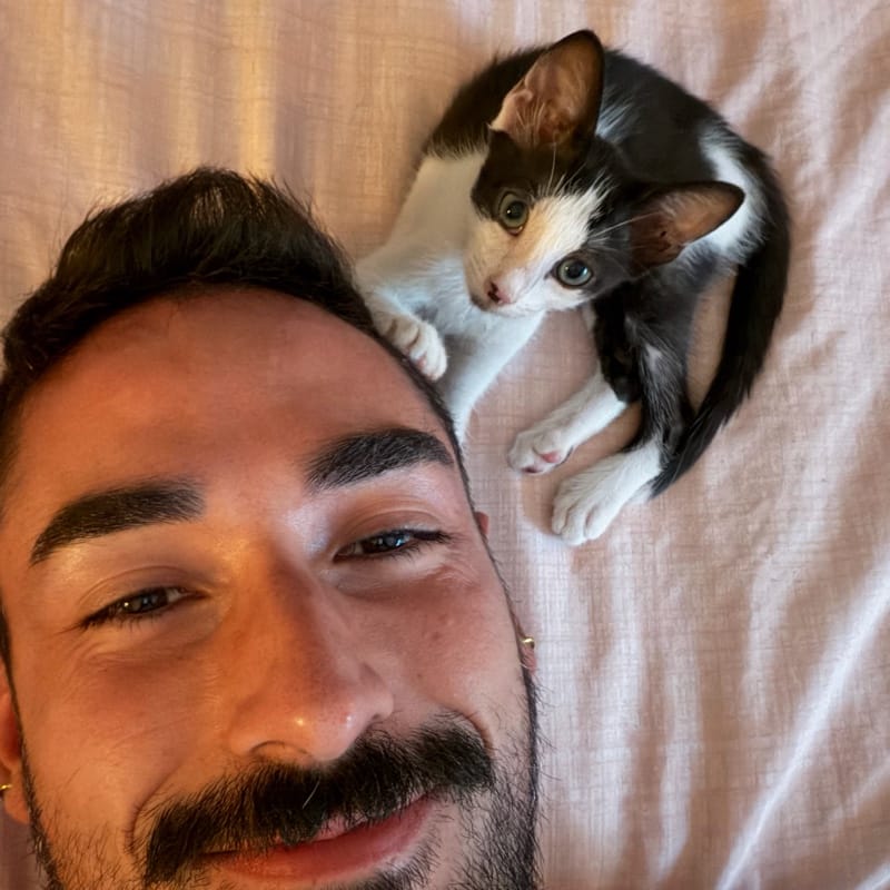 Fabio