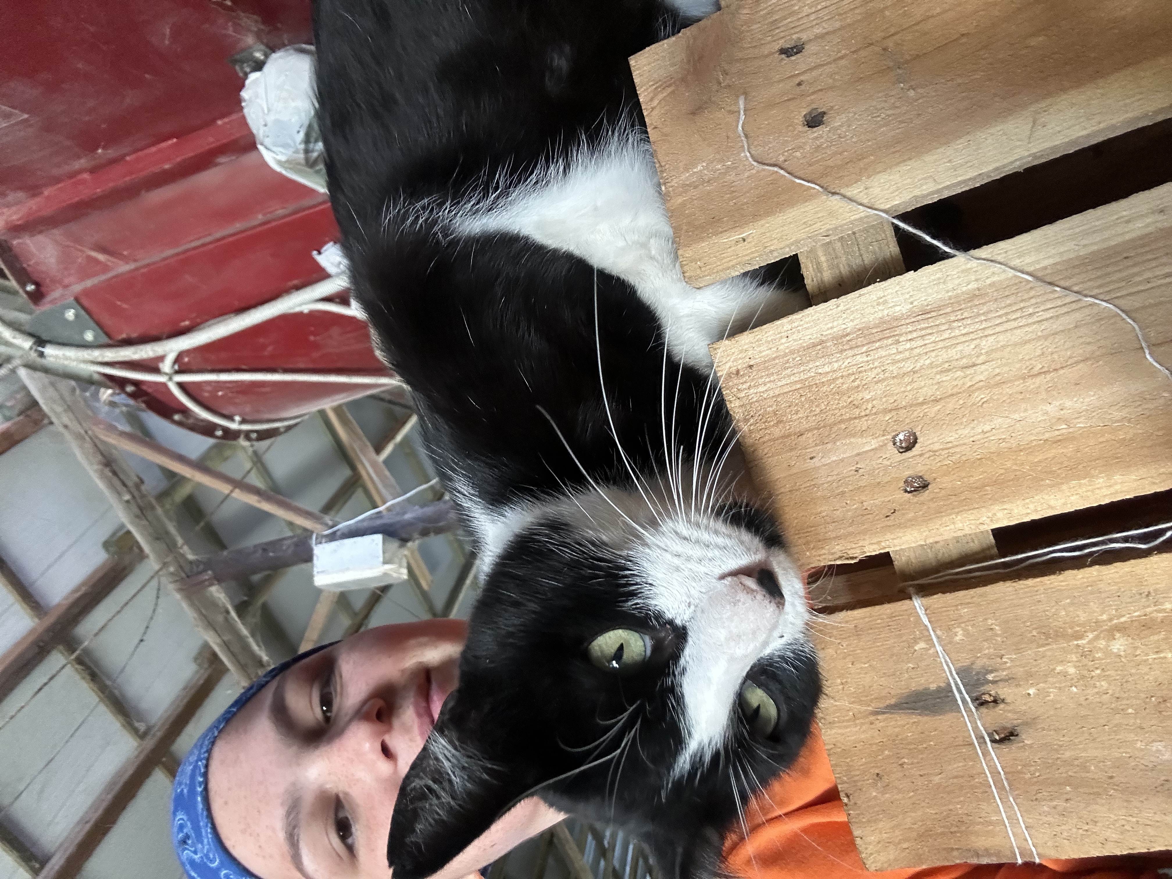 image-6