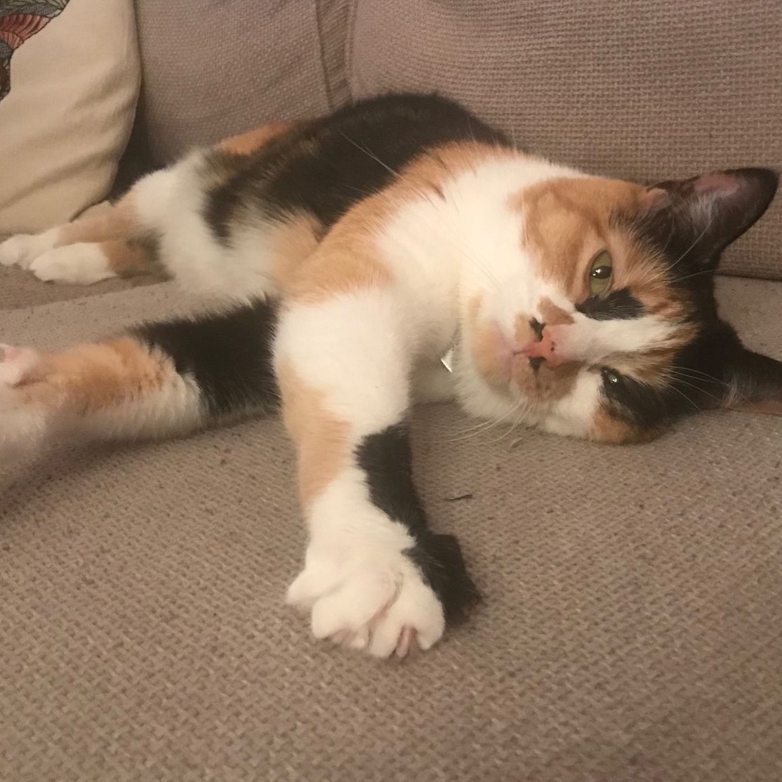 Kitkat