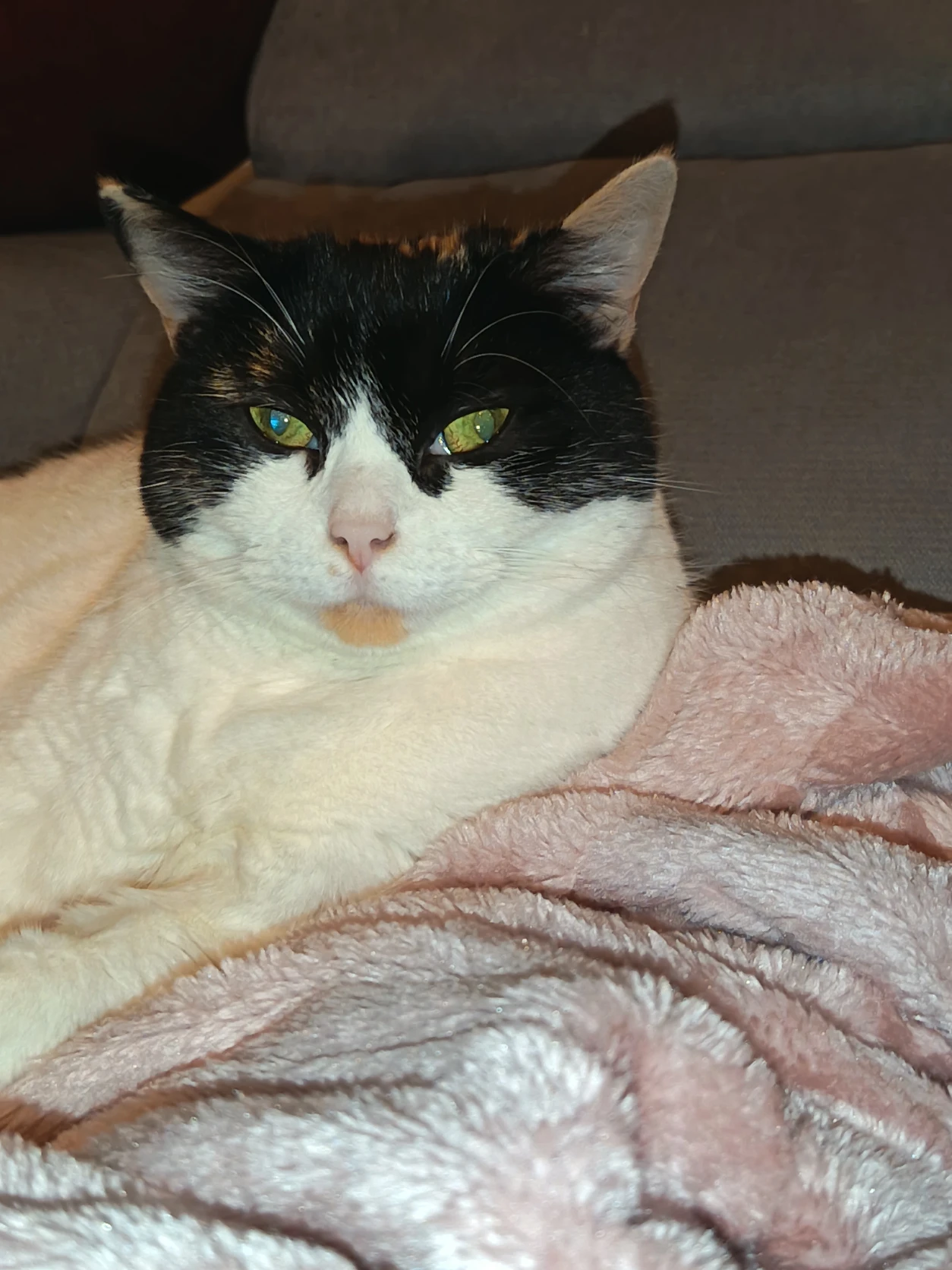 image-4