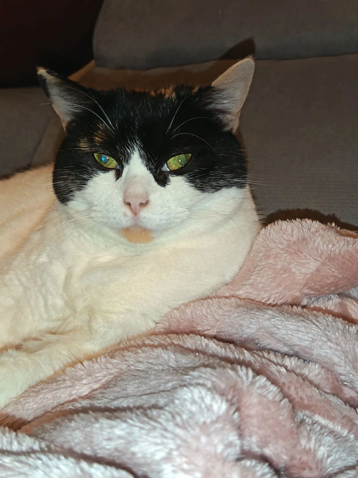 image-4