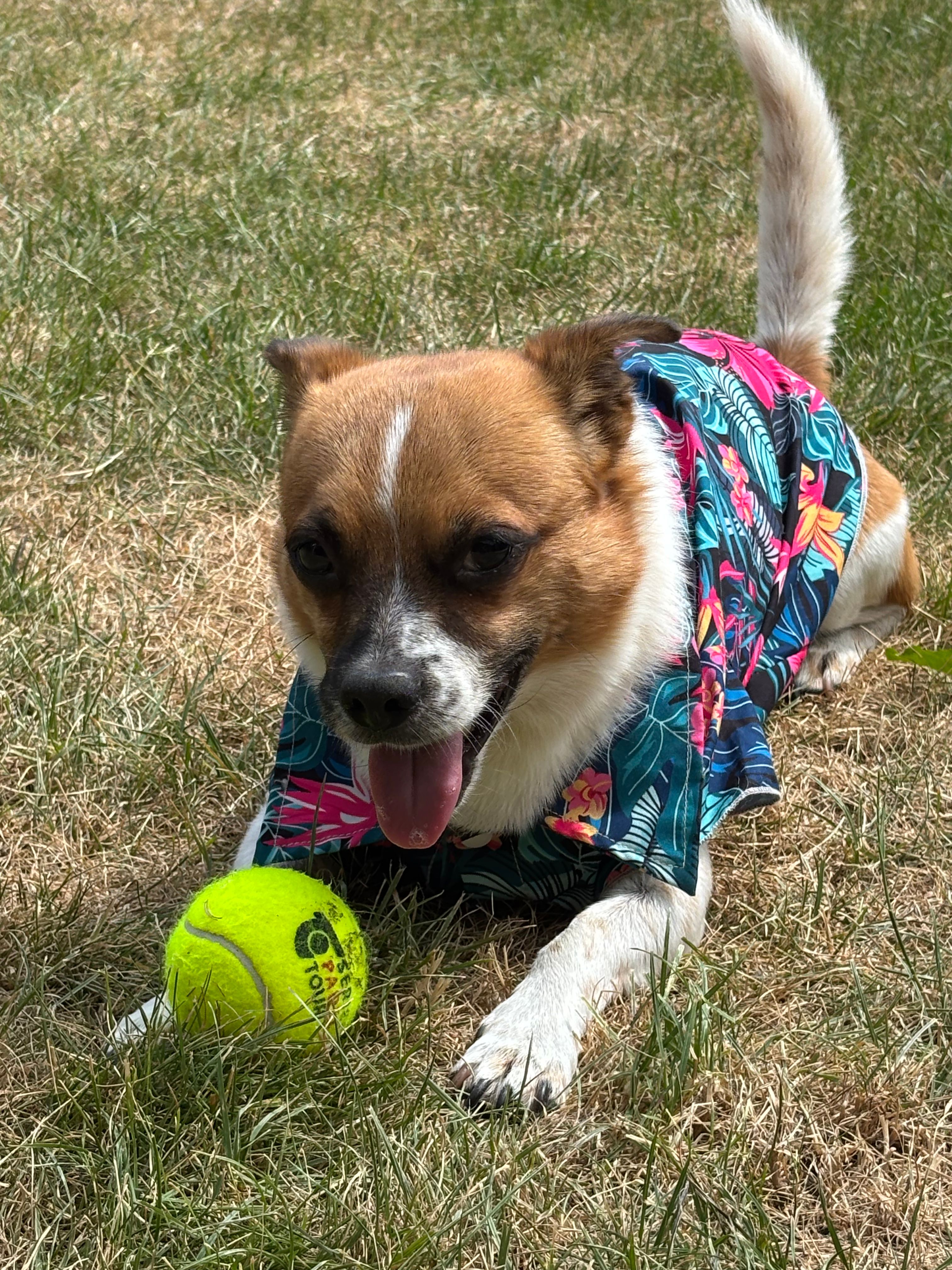 image-20