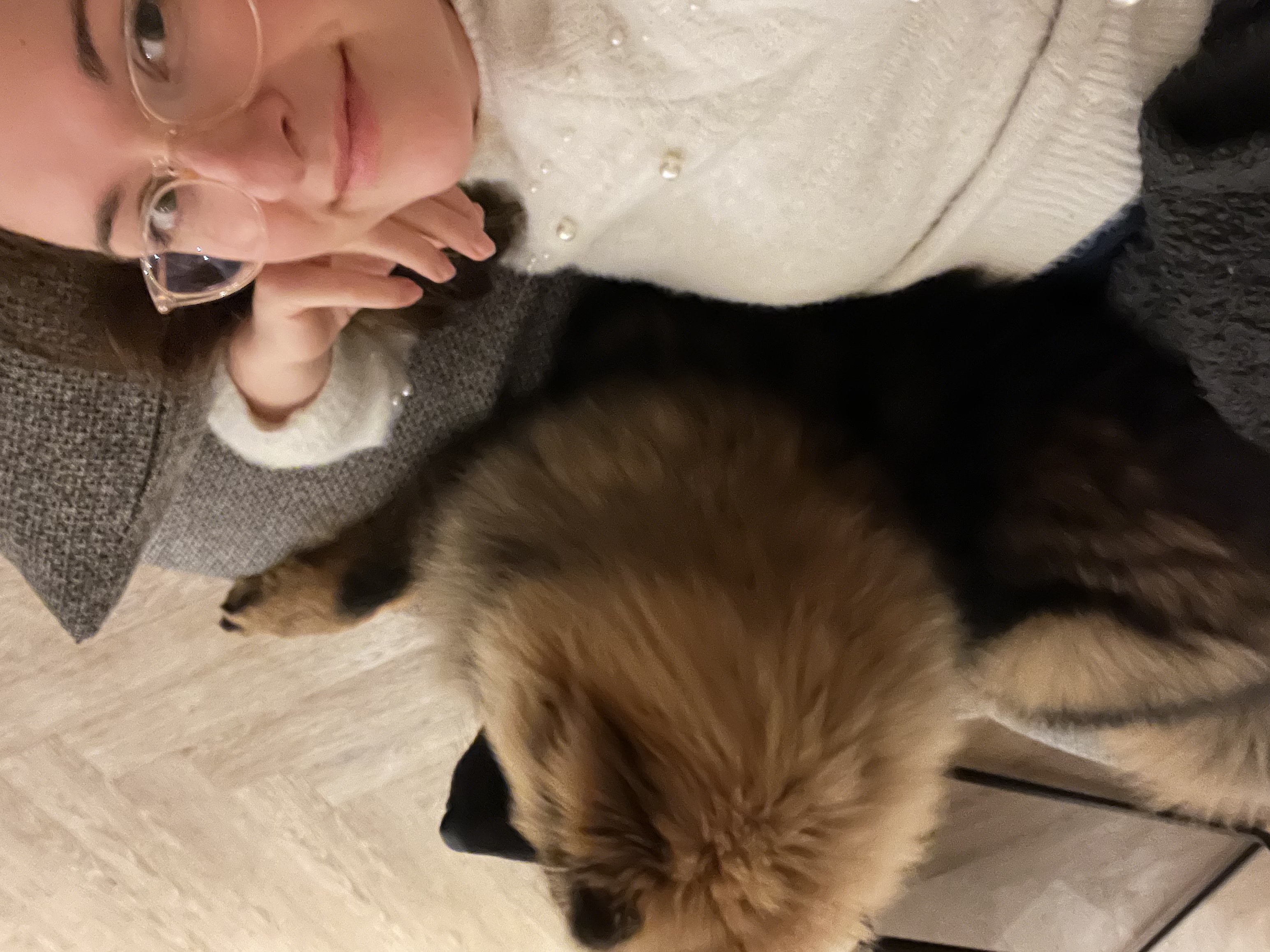 image-7