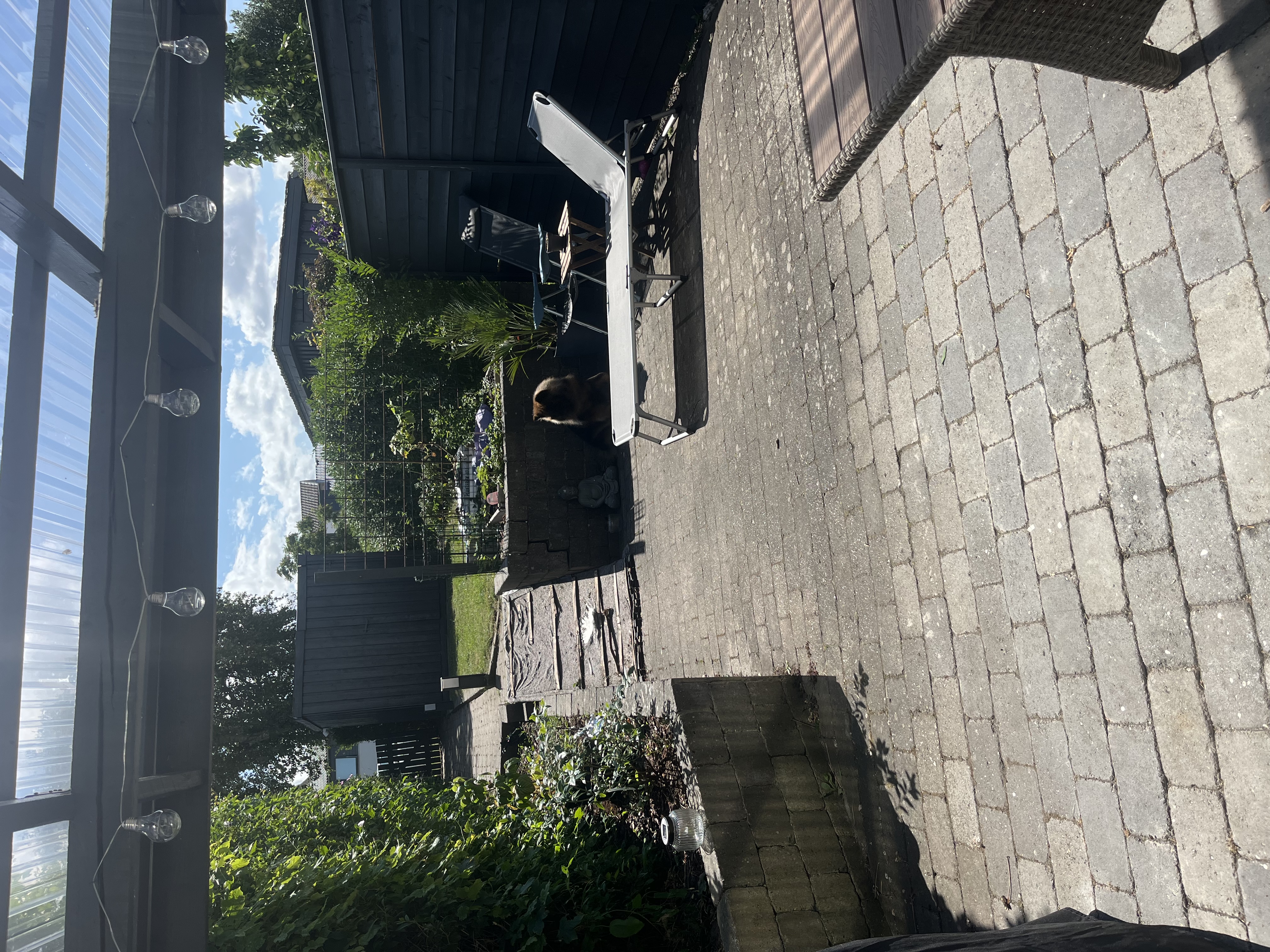 image-15