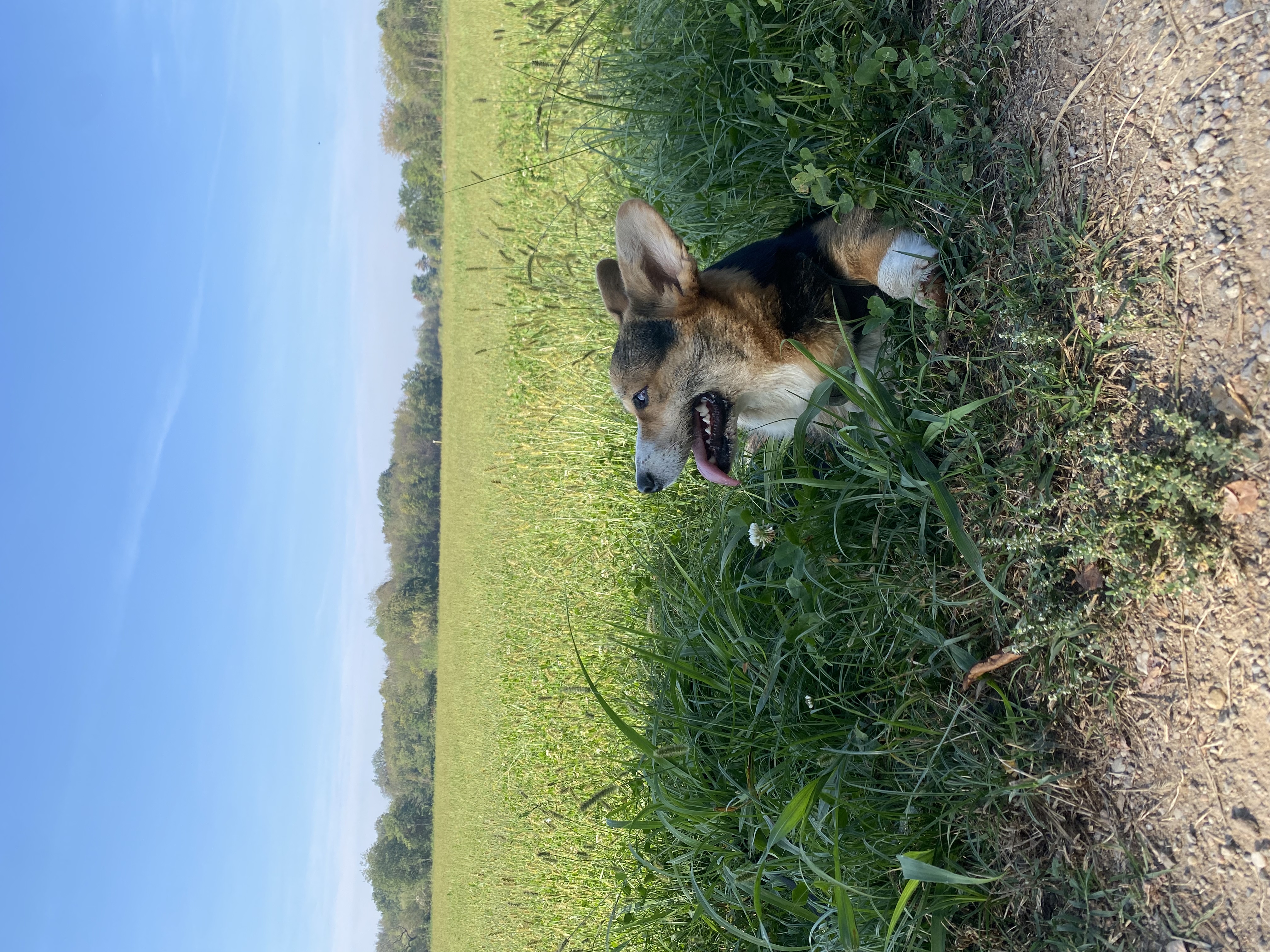 image-6