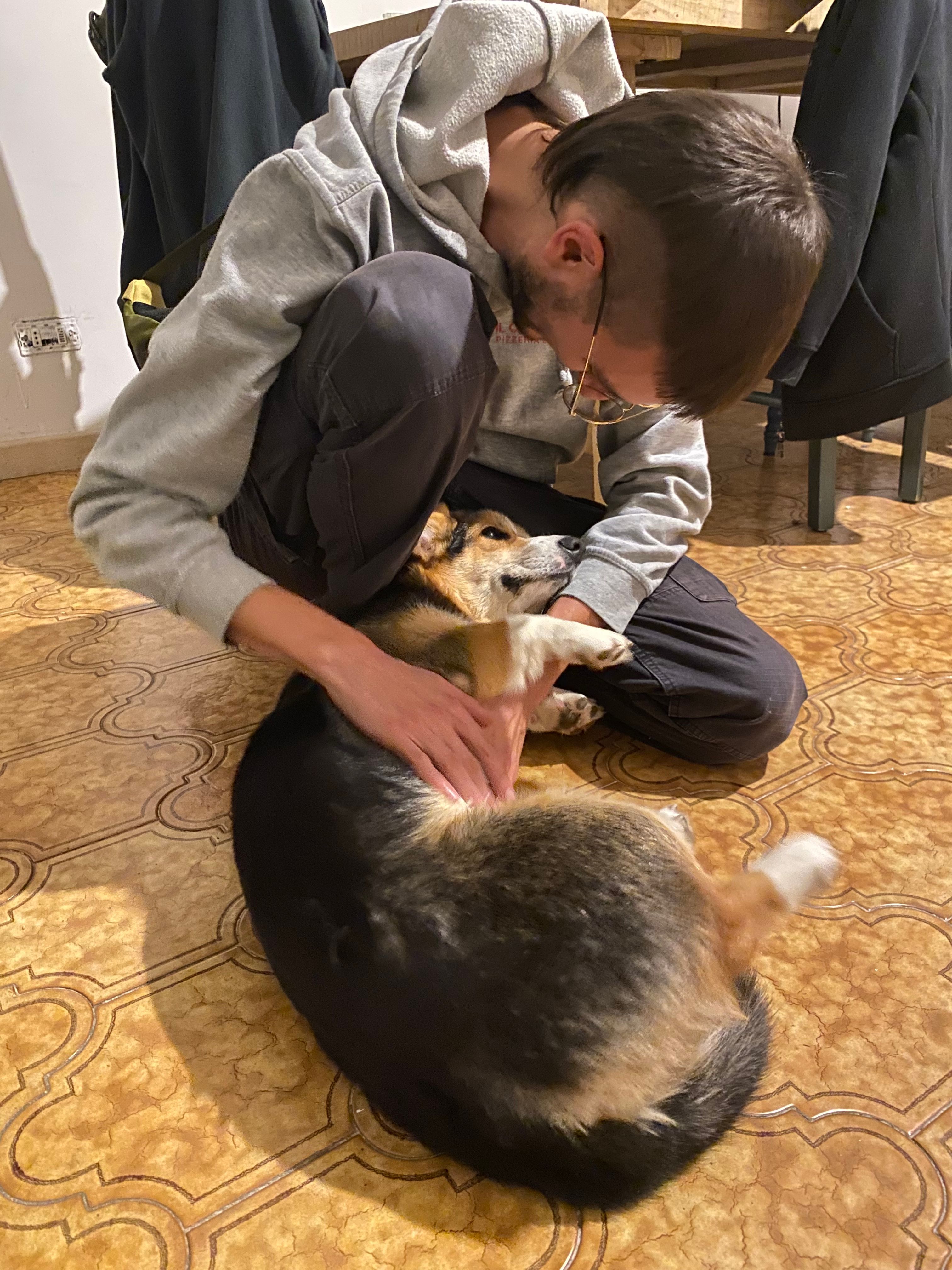 image-10