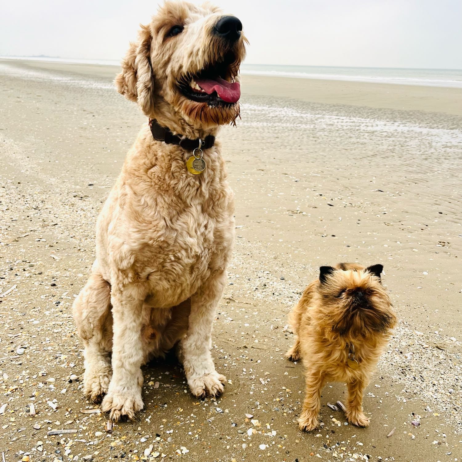 Clémence et Philippe
