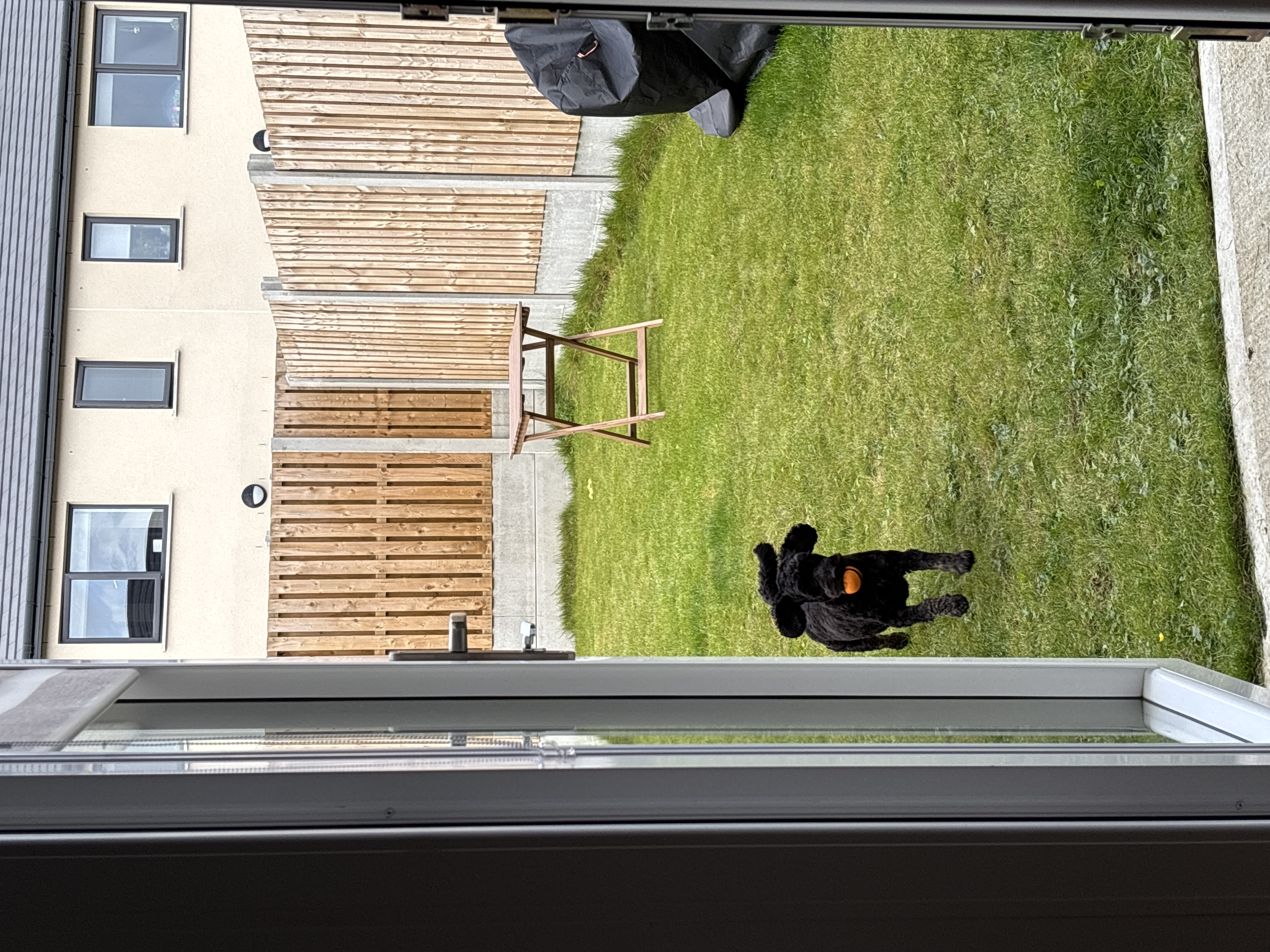 image-4
