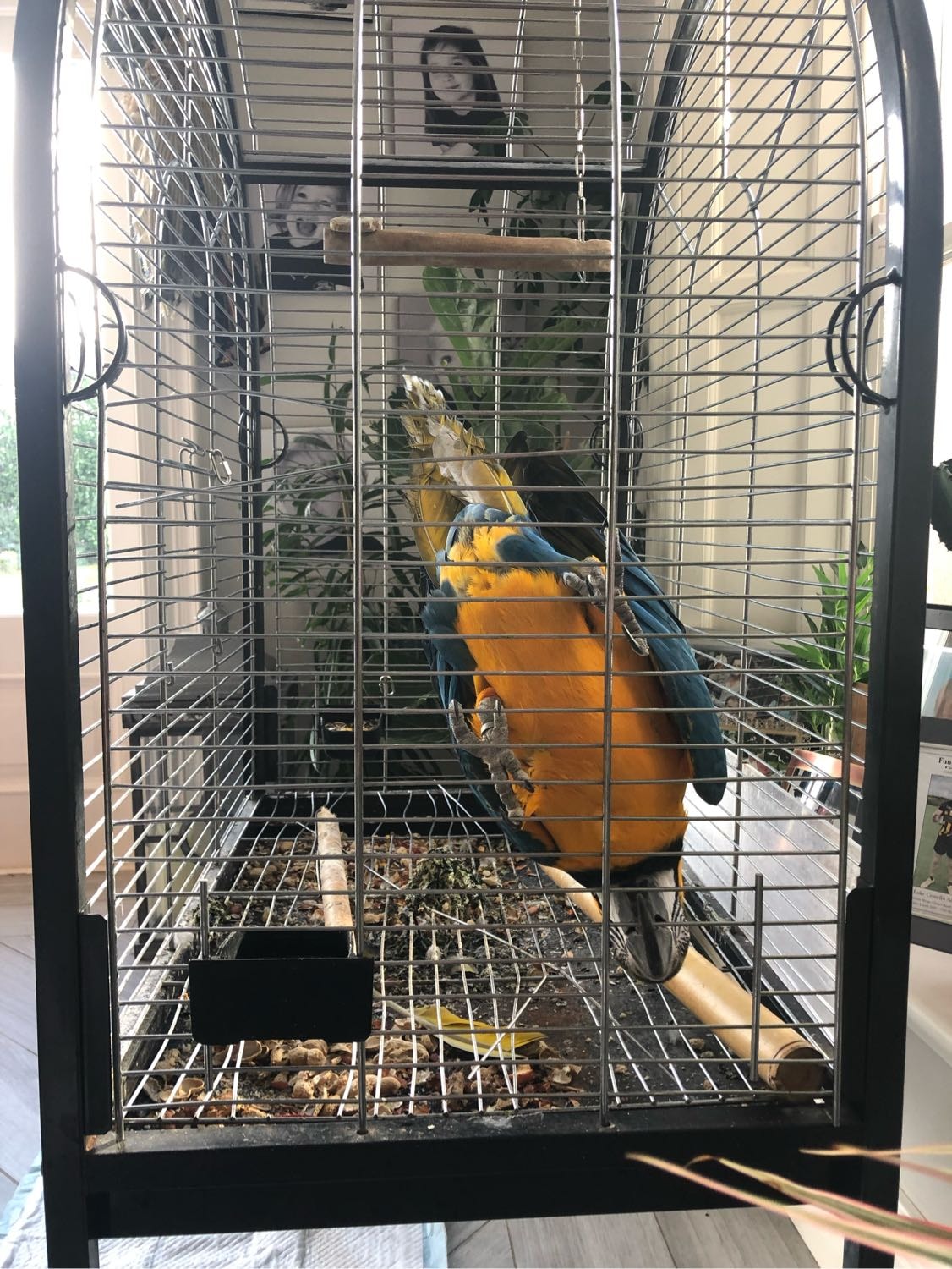 image-7