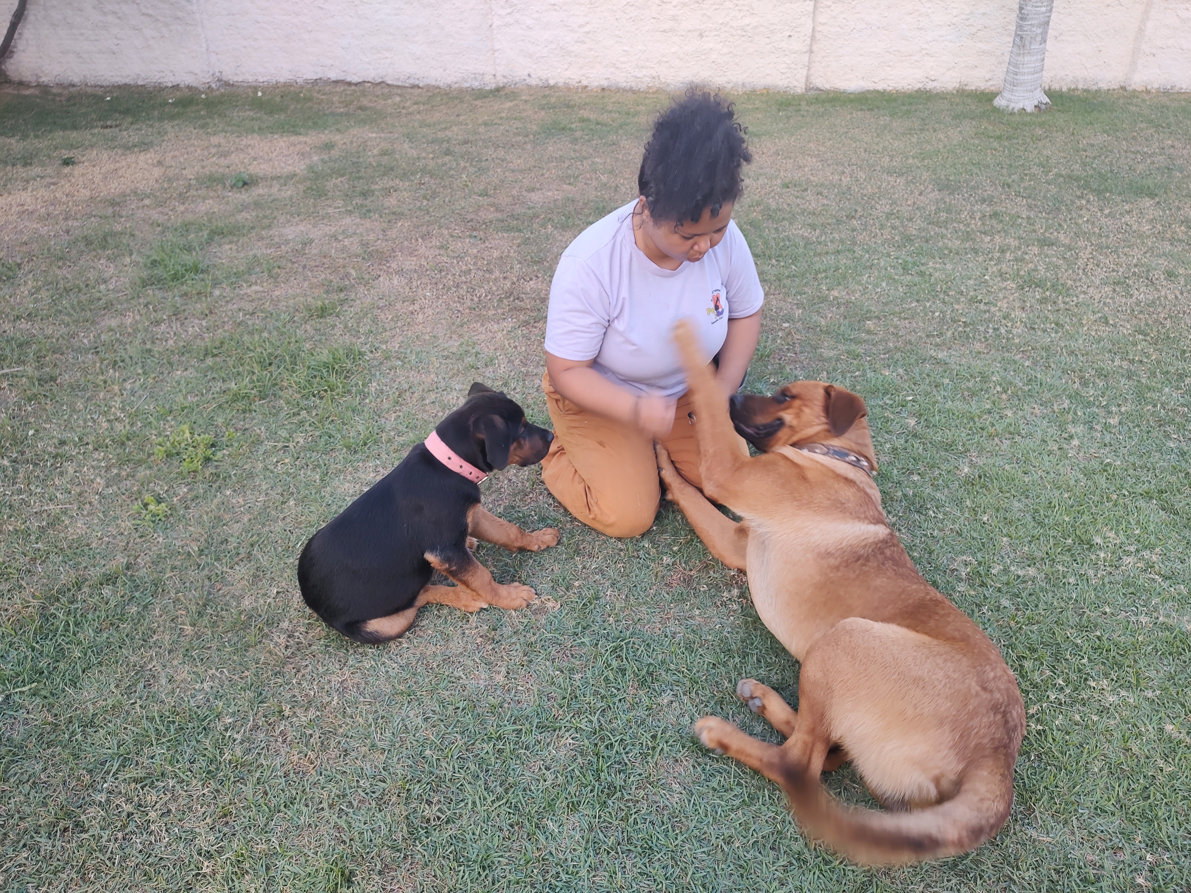 image-3